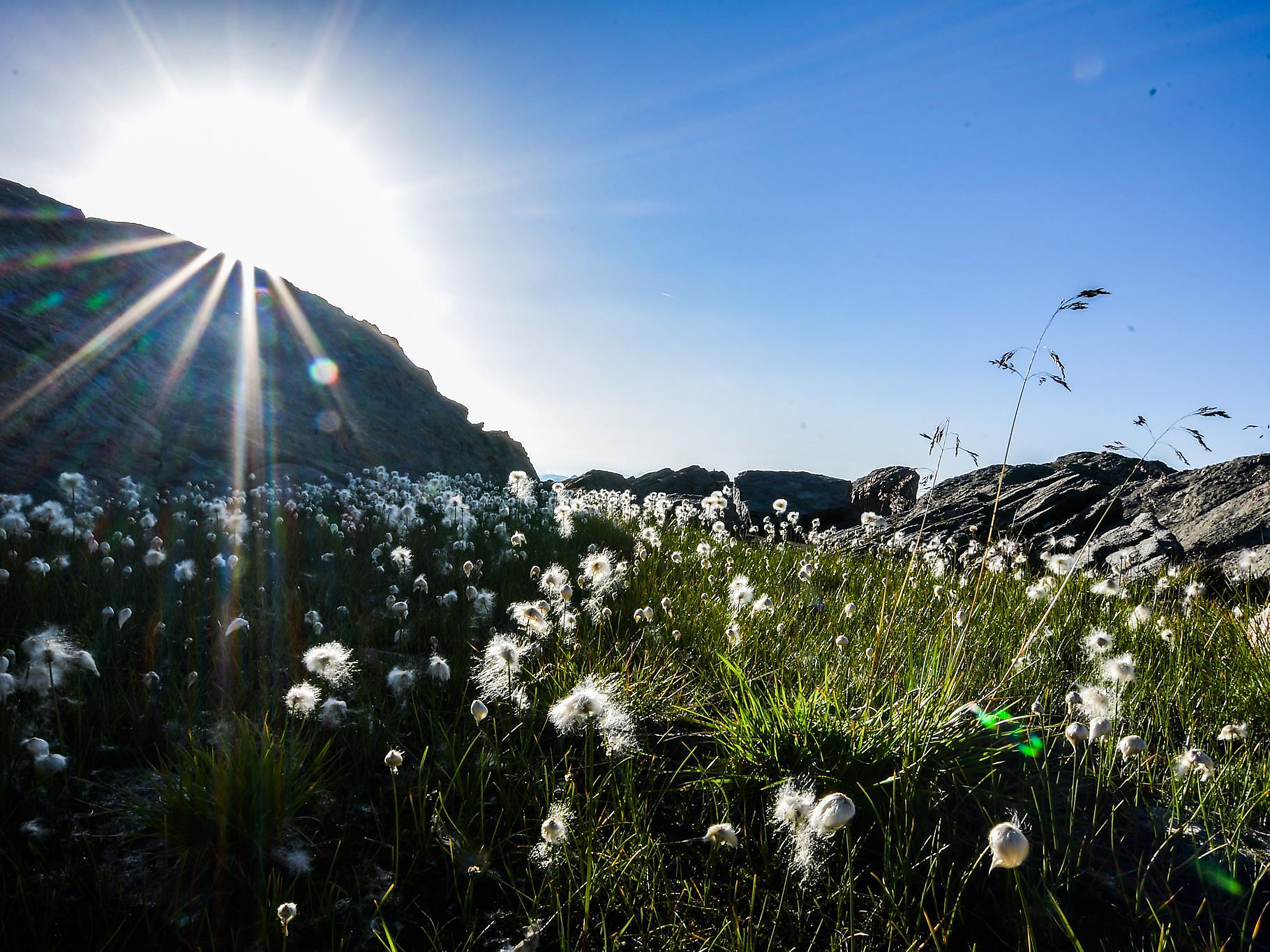 Guided hike to the Spronser Lakes with hiking guide Erich Unterthurner - Meran/Merano and environs - #2 - suedtirol.info