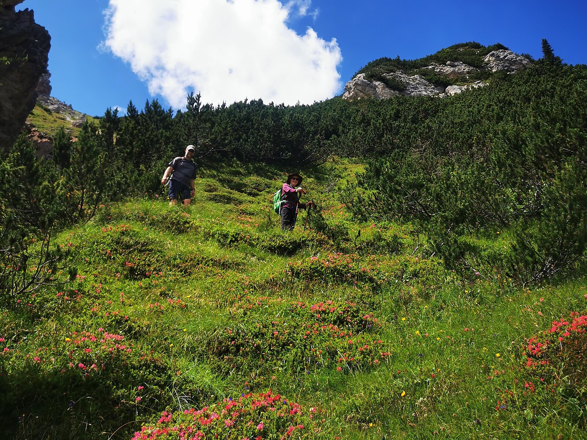 HIGHLIGHT: Via Ferrata Tour in the Dolomites UNESCO World Heritage - Dolomites Region Kronplatz/Plan de Corones - #3 - suedtirol.info