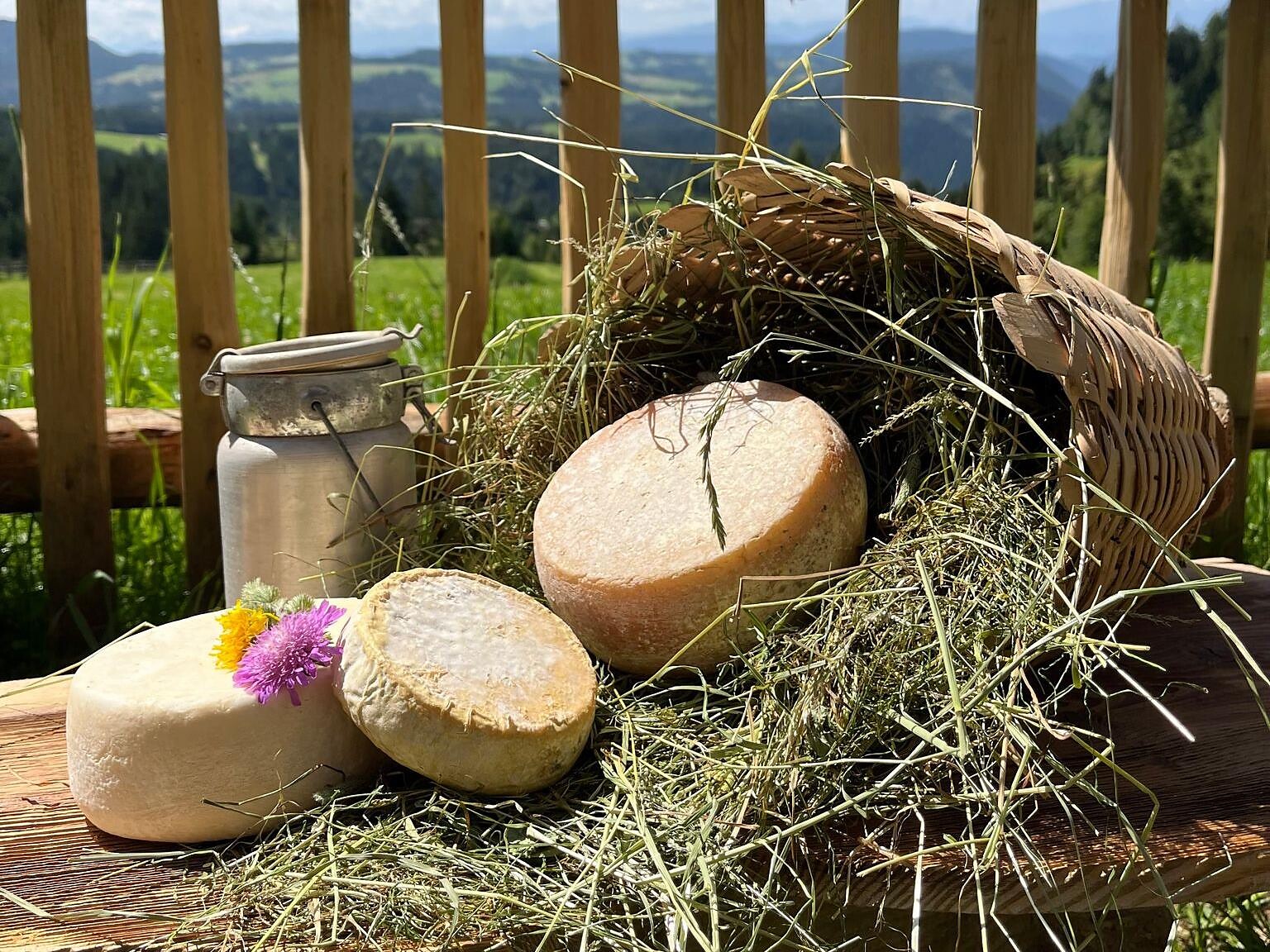 Ziegenkäsereibesichtigung und Verkostung am Biohof Oberwerkstatt Deutschnofen 1 suedtirol.info