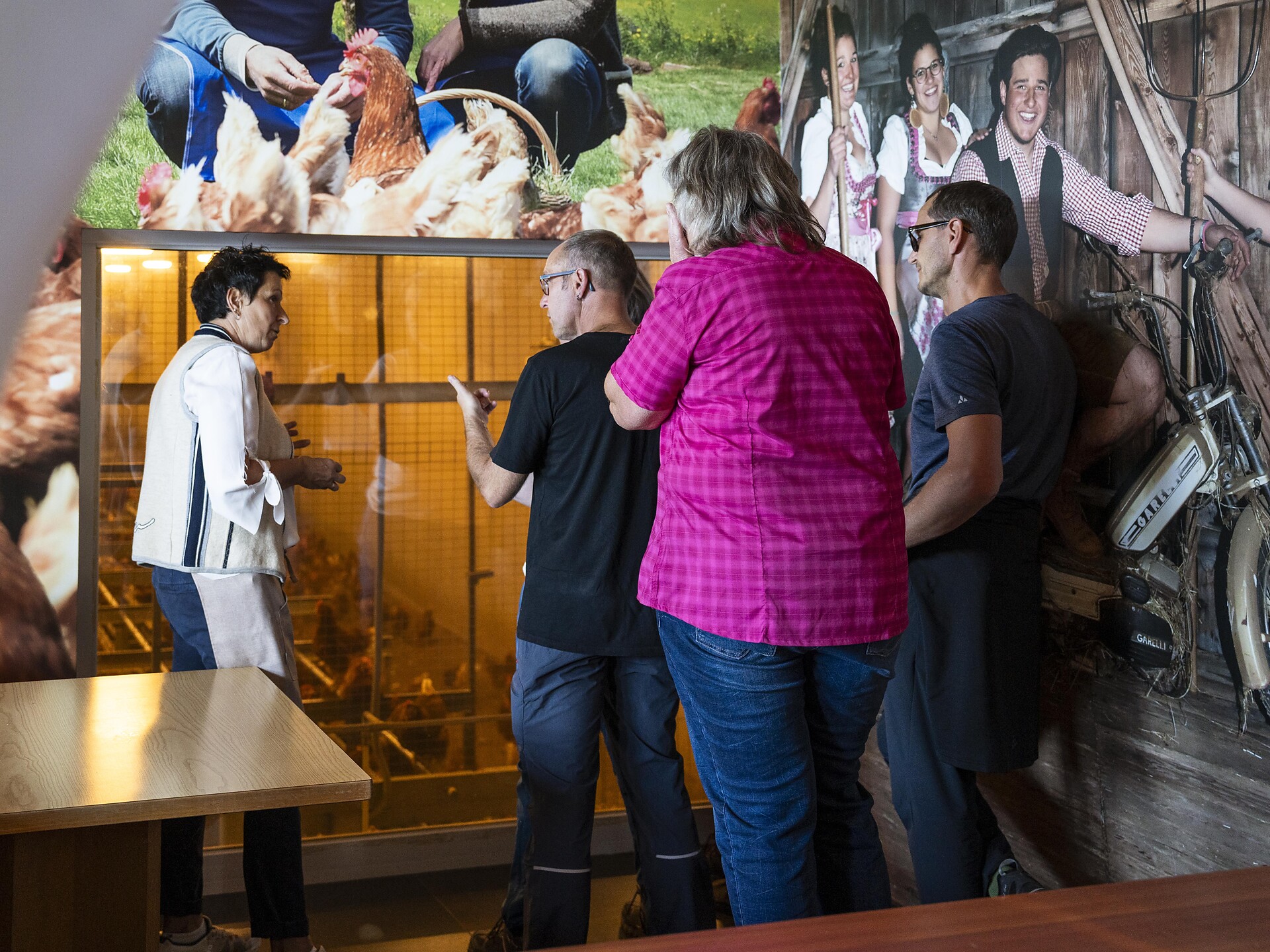 Autunno montano: Escursione guidata, visita al maso a base di uova dal maso - Regione dolomitica Alpe di Siusi - #1 - suedtirol.info