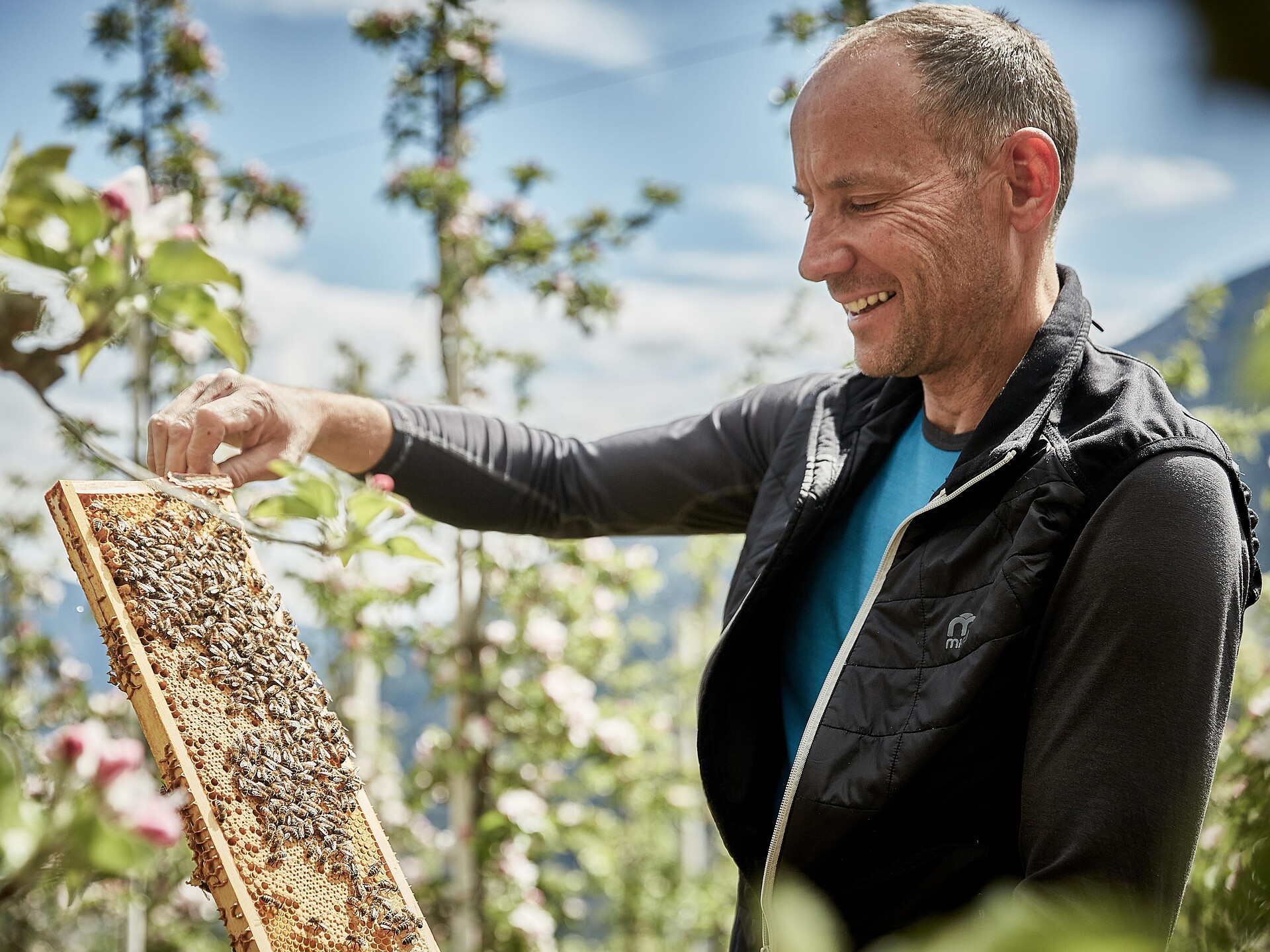 HoneyGourMet Partschins/Parcines 3 suedtirol.info