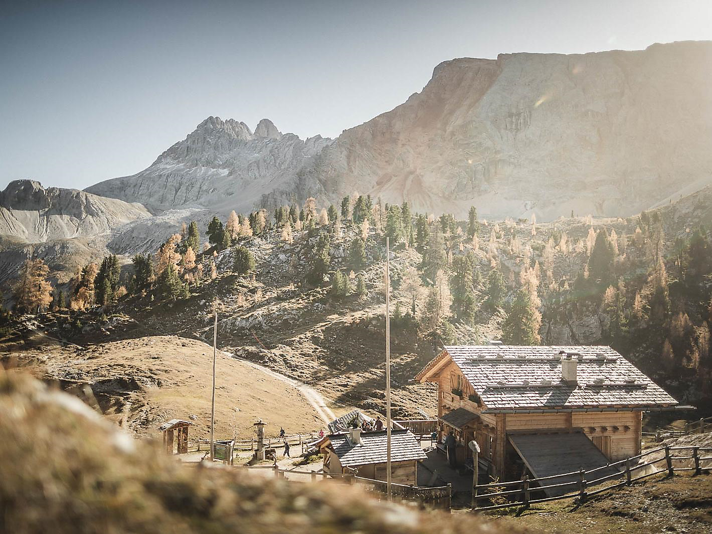 Golden Dolomites: About forgotten shepherds ‘paths - Dolomites Region 3 Zinnen - #3 - suedtirol.info