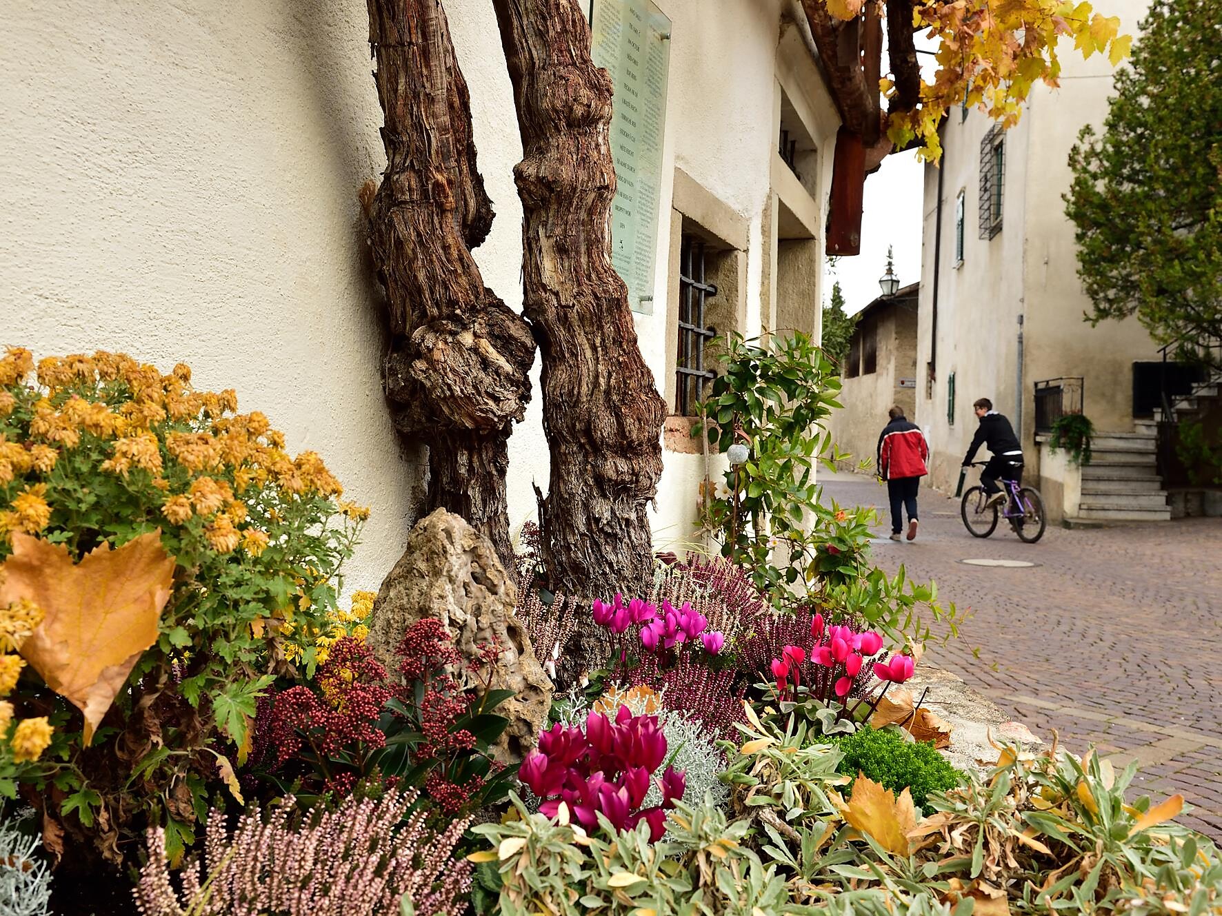 Autumn Festival at the Old Vine in Margreid - Alto Adige Wine Road - #3 - suedtirol.info