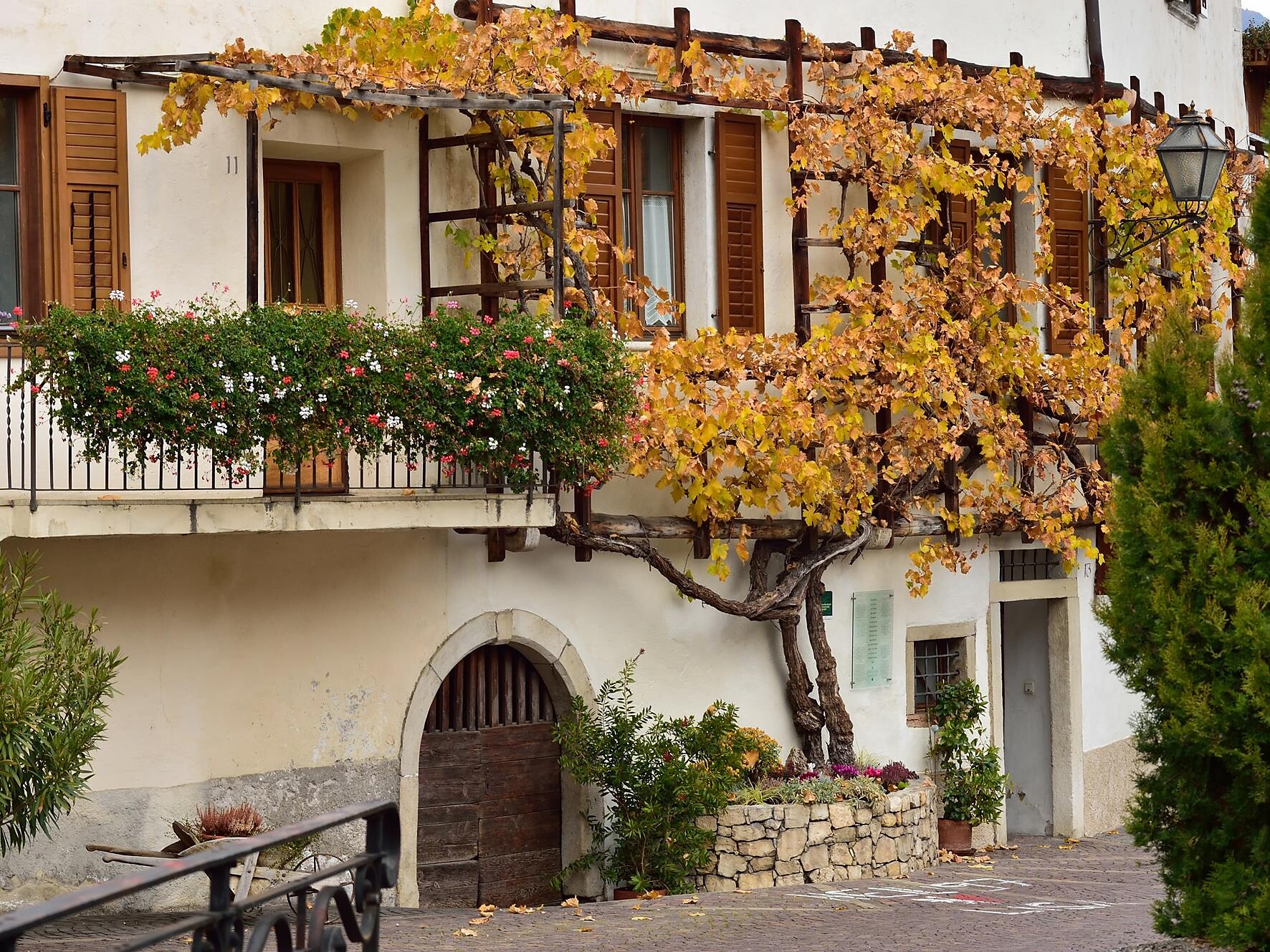 Autumn Festival at the Old Vine in Margreid - Alto Adige Wine Road - #1 - suedtirol.info