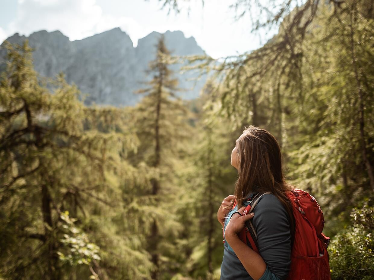 Hiking tour: Laugensee lake and Laugenspitze peak Schenna/Scena 1 suedtirol.info