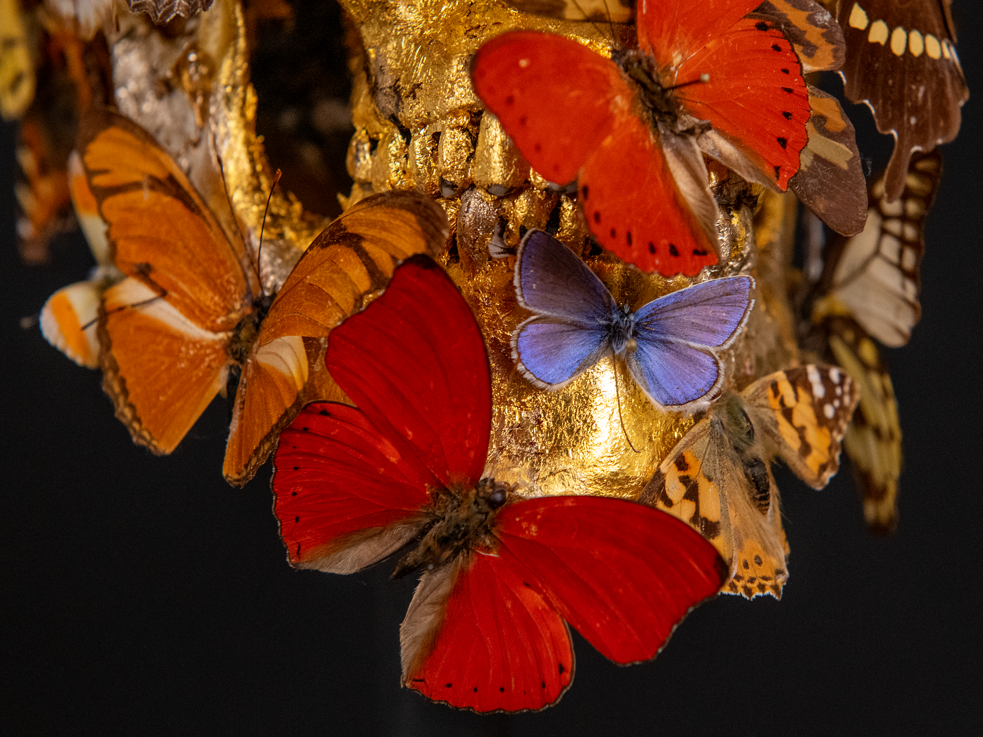 Harald Kastlunger. Intuition - Composition - Brixen/Bressanone and environs - #1 - suedtirol.info