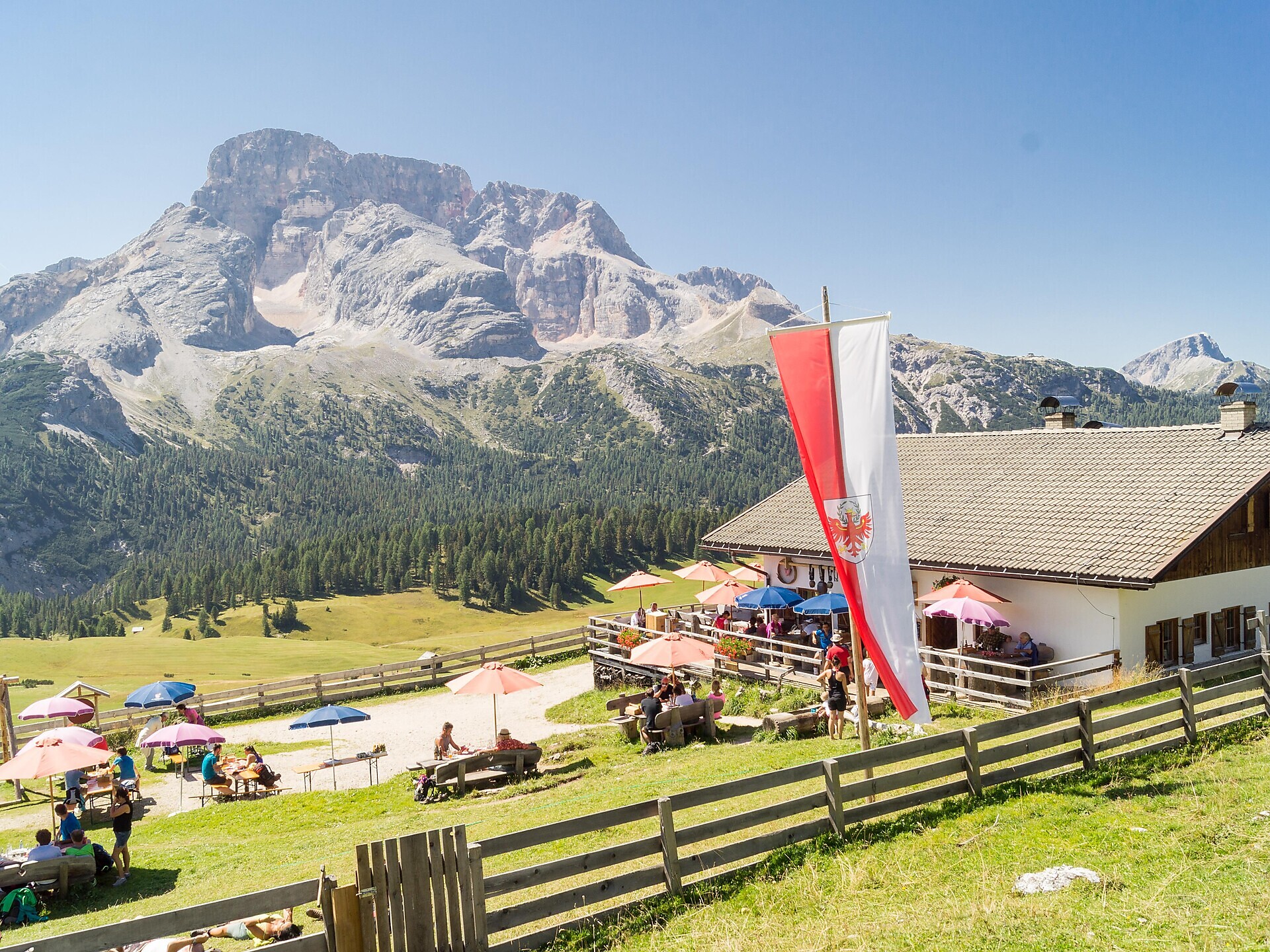 Golden Autumn: Almsound: Almhütte Plätzwiese hut - Dolomites Region 3 Zinnen - #1 - suedtirol.info