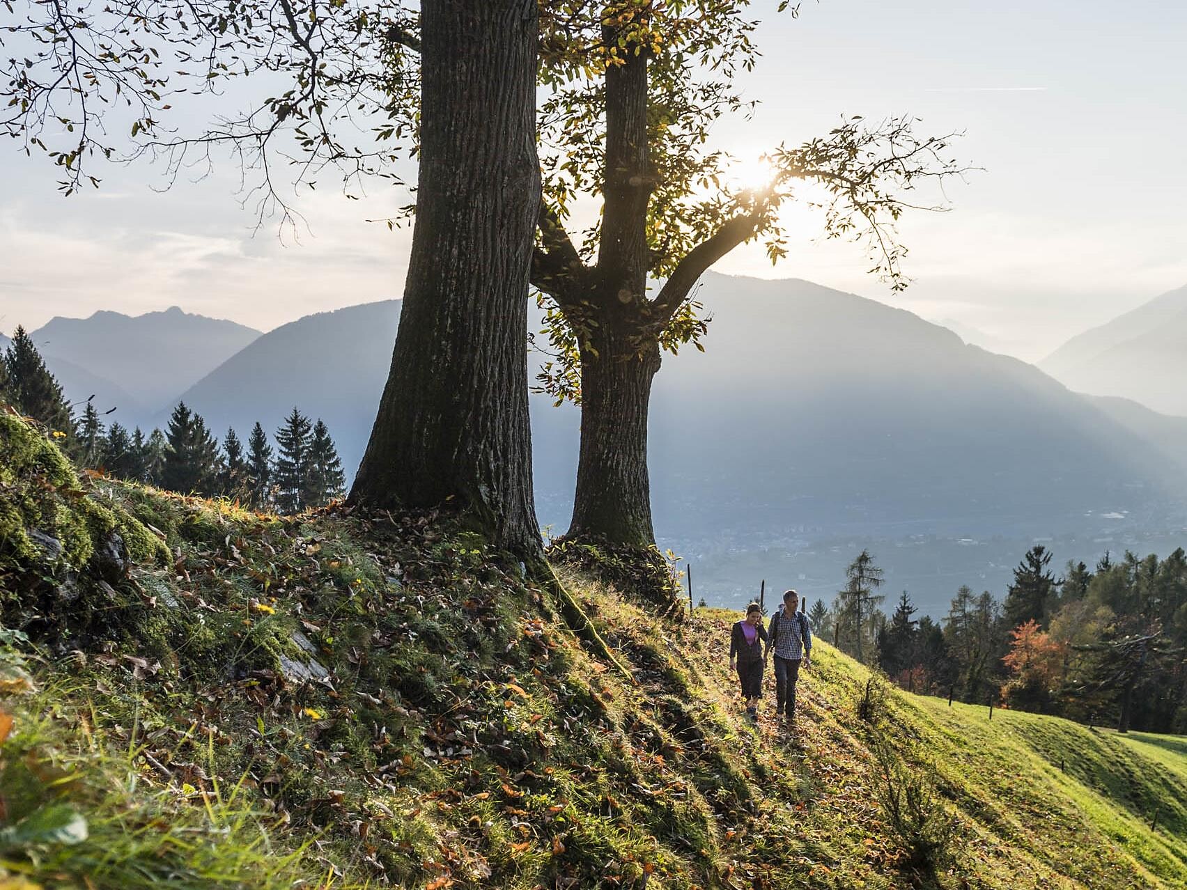 Escursione guidata: Castel Juval Scena 2 suedtirol.info