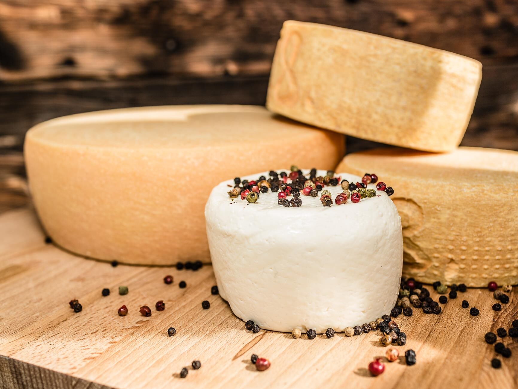 Hofführung „Wie geht Bauernhof, von der Kuh zum Käse" Schenna 2 suedtirol.info
