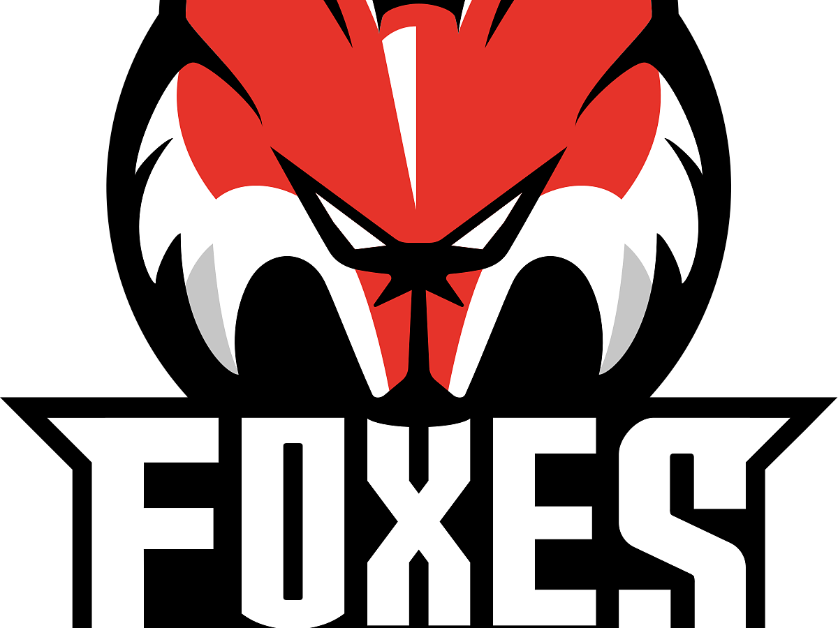 HCB Südtirol Alperia - partite casalinghe - Bolzano e dintorni - #1 - suedtirol.info