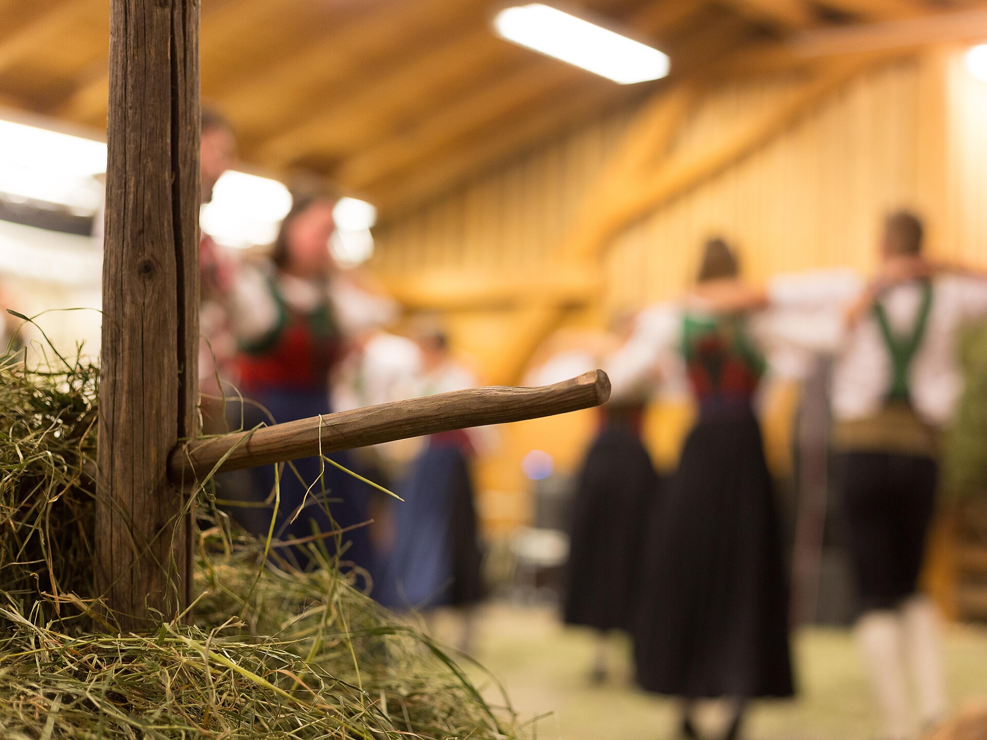 "Gsiesa Heistodlfest"- Festa del Fienile in Val Casies Valle di Casies 1 suedtirol.info