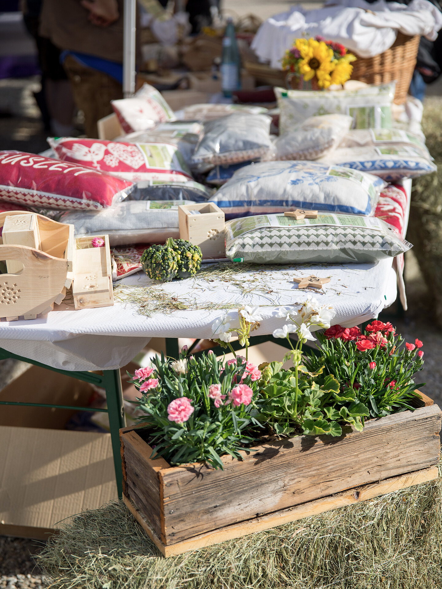 Höfe hautnah: Erlebnisreiche Besichtigungen - Meran und Umgebung - #2 - suedtirol.info