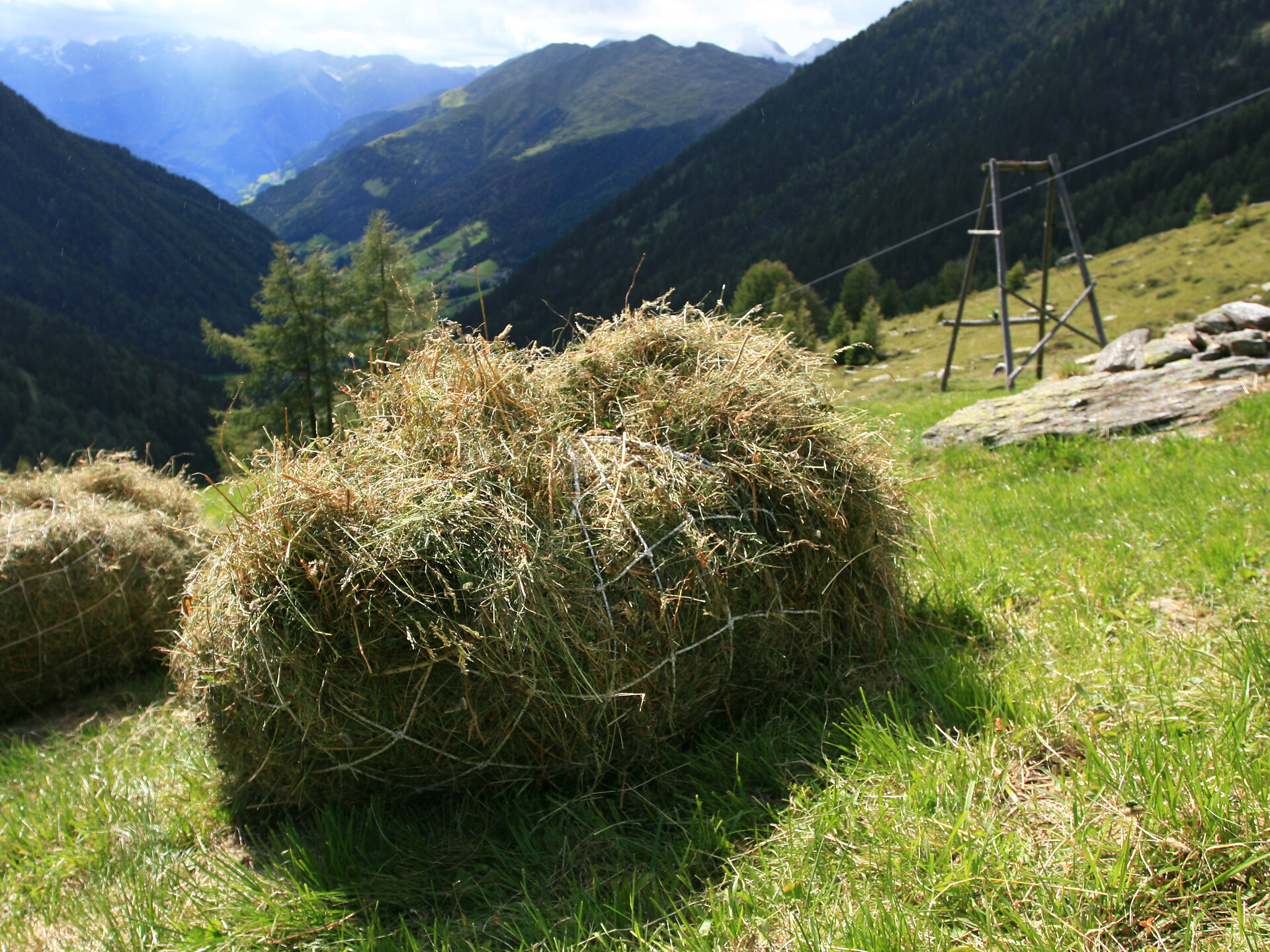 Höfe hautnah: Erlebnisreiche Besichtigungen - Meran und Umgebung - #3 - suedtirol.info
