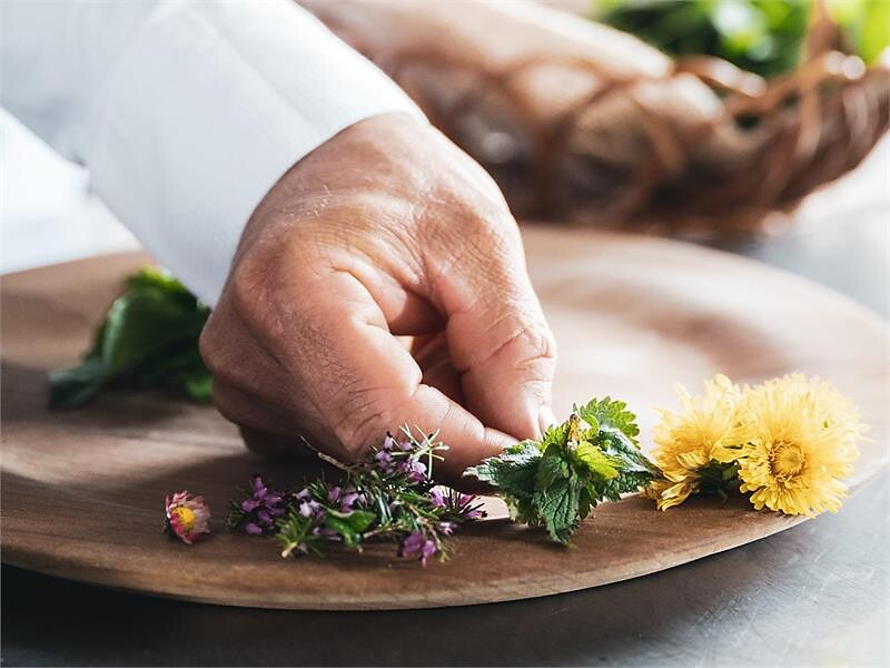 Heilkräuter - Auf Entdeckung der therapeutischen Wirkungen der Alpenflora Badia 3 suedtirol.info