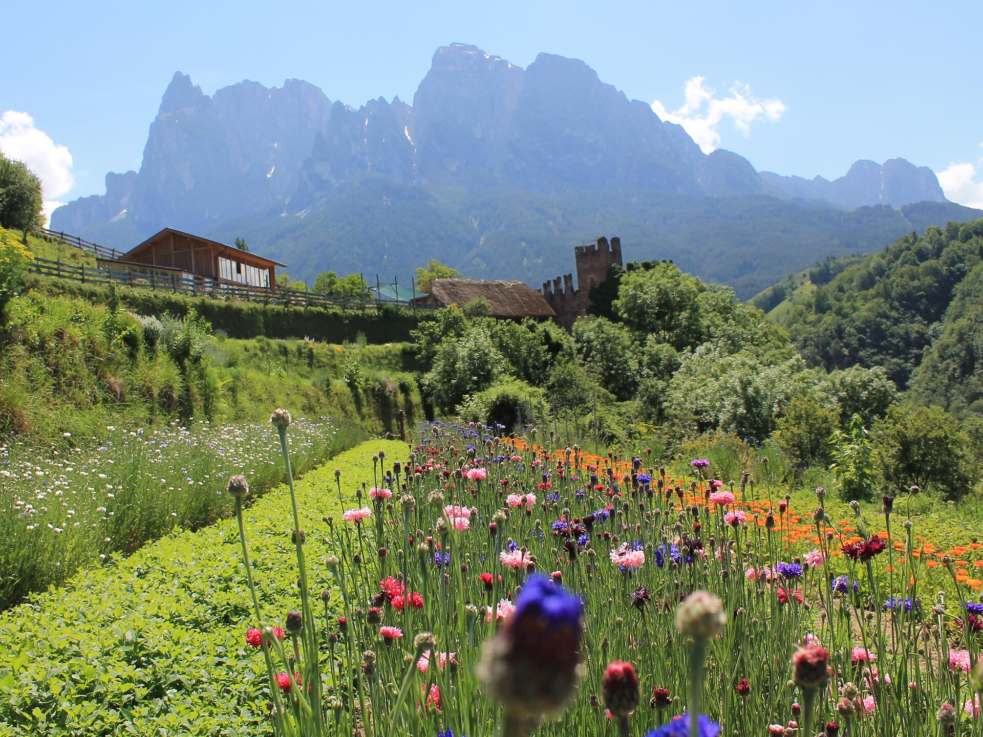 Hofführung am Biokräuterhof Pflegerhof - Dolomitenregion Seiser Alm - #1 - suedtirol.info