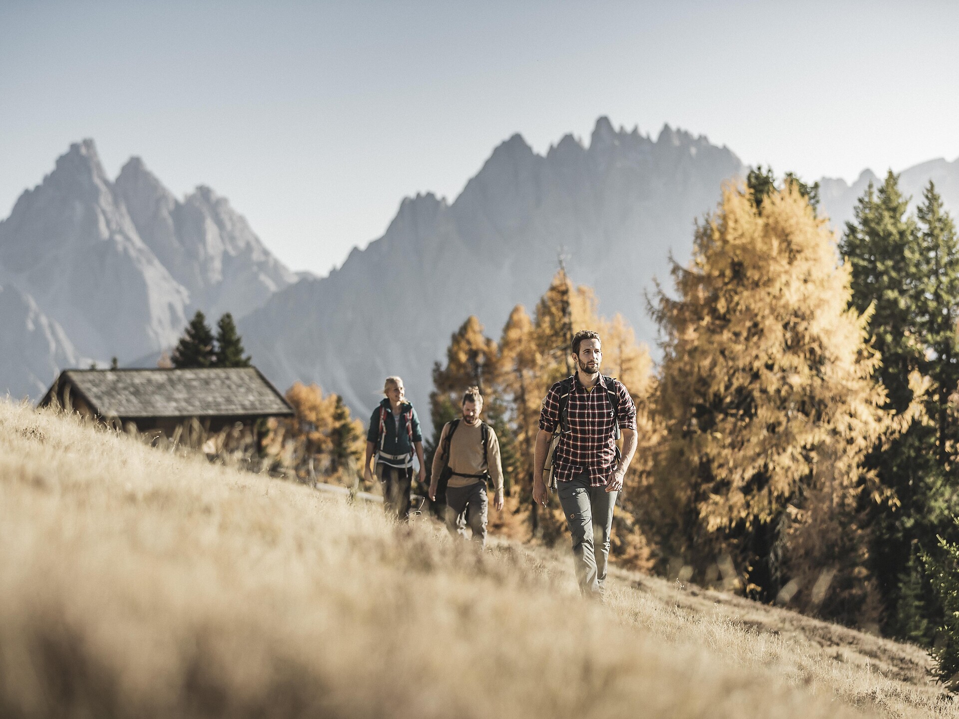 Spettacolo Autunno nelle 3 Cime Dolomiti - Regione dolomitica 3 Cime - #2 - suedtirol.info