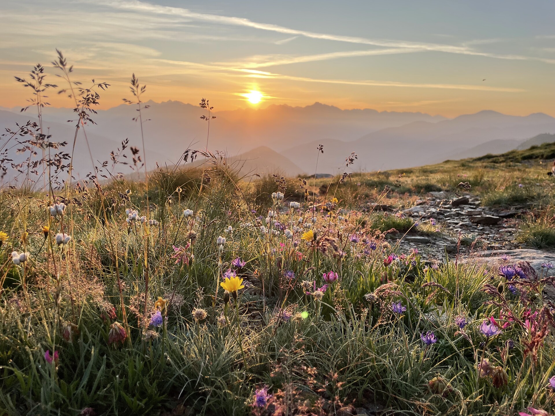 Da non perdere: l’alba sul Passo Giovo con colazione alpina Racines 1 suedtirol.info