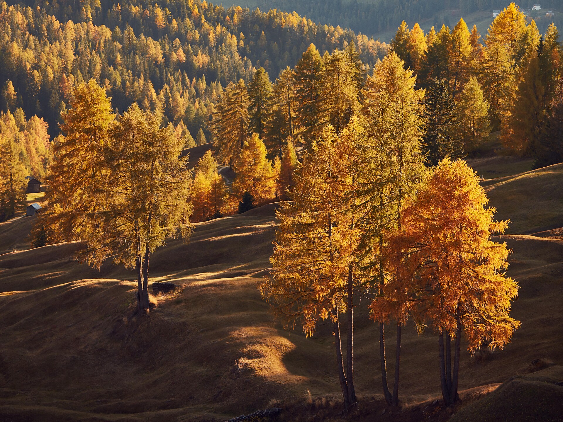 Autum hike on Salto - Meran/Merano and environs - #1 - suedtirol.info