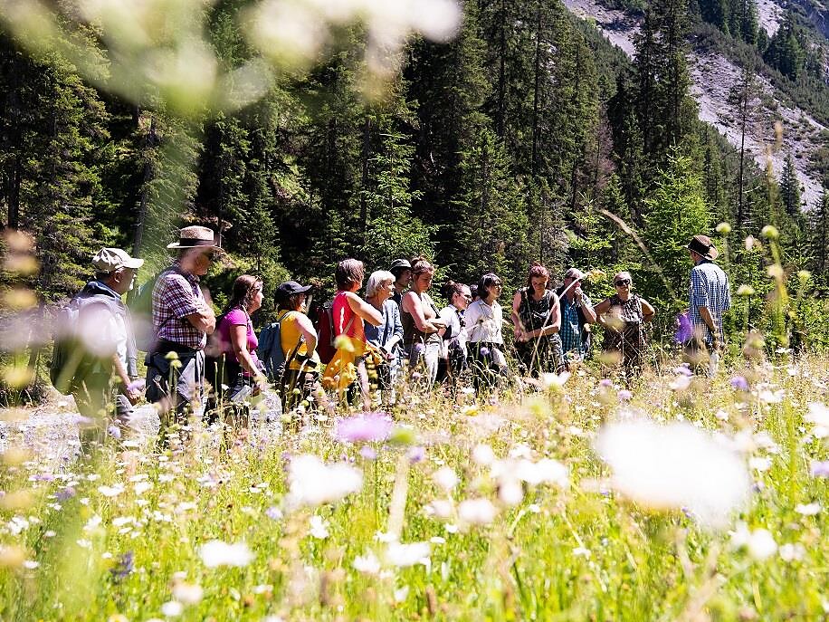 Herbatio - Rediscover ancient knowledge Stilfs/Stelvio 3 suedtirol.info