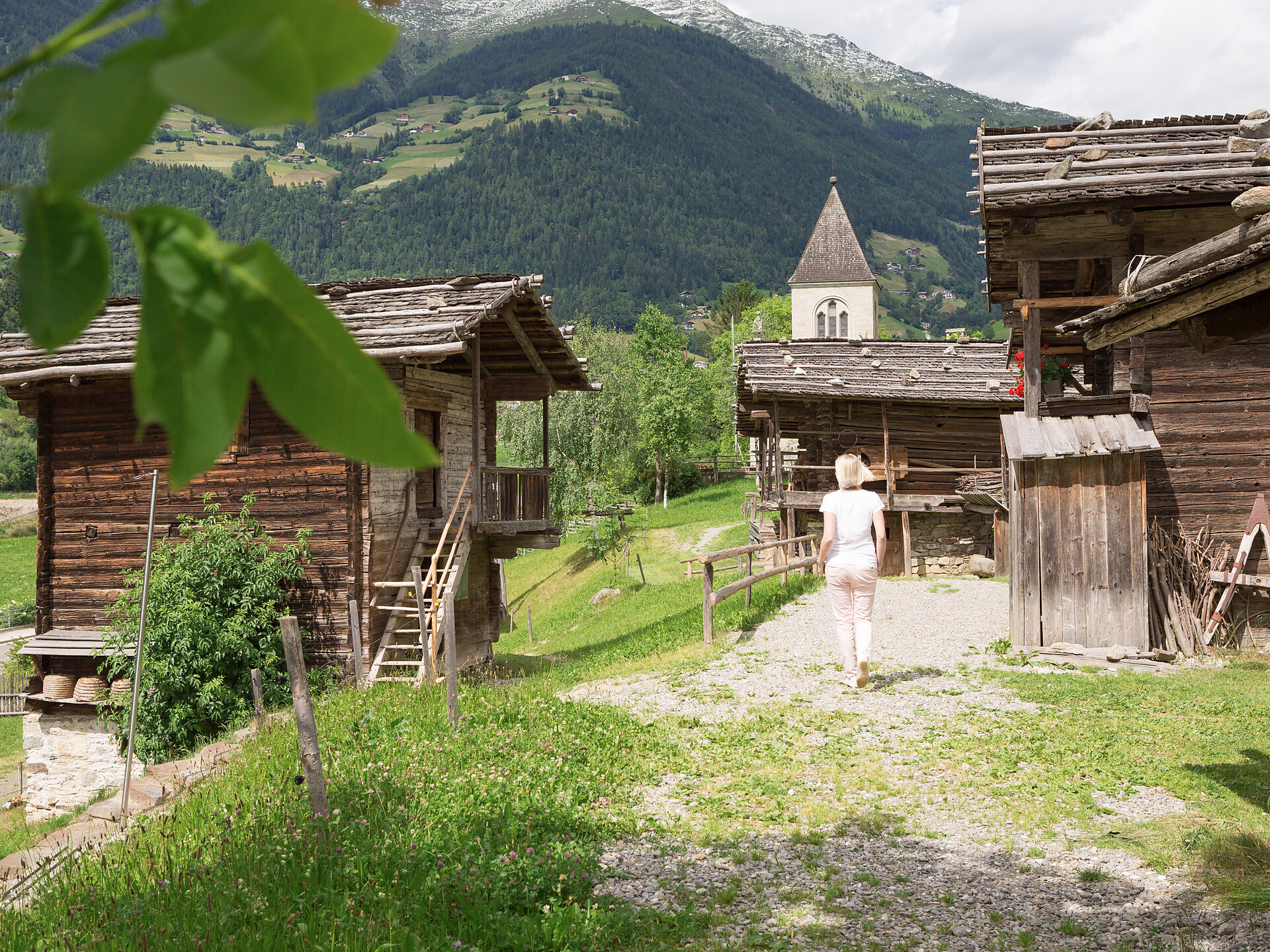 Hofer Highlights guided tour - Meran/Merano and environs - #2 - suedtirol.info