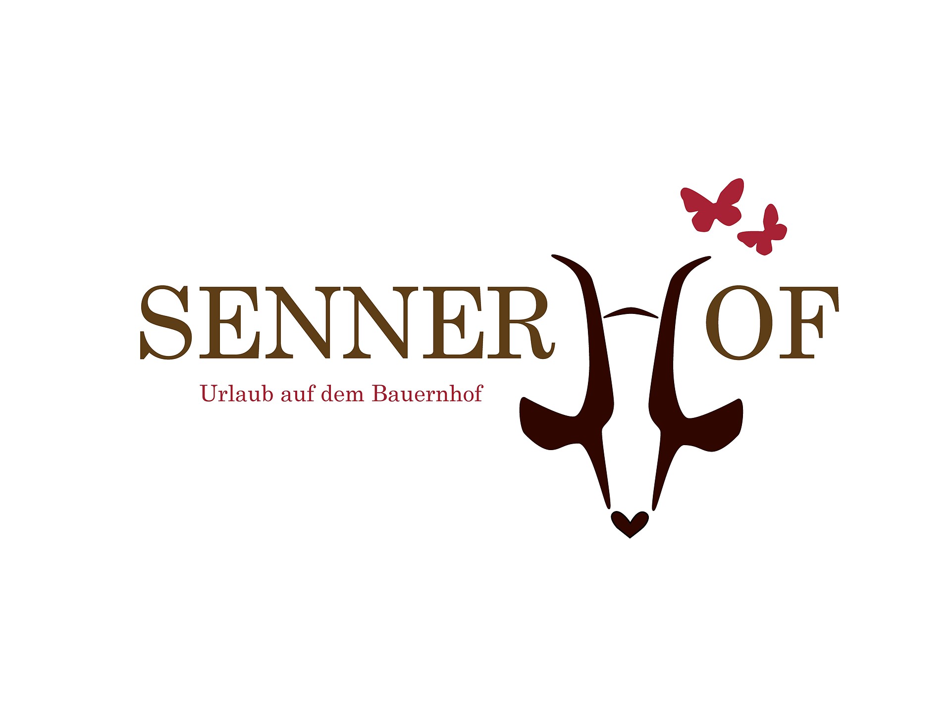 Escursione autunnale con degustazione di formaggio di capra al Sennerhof - Vipiteno e dintorni - #3 - suedtirol.info