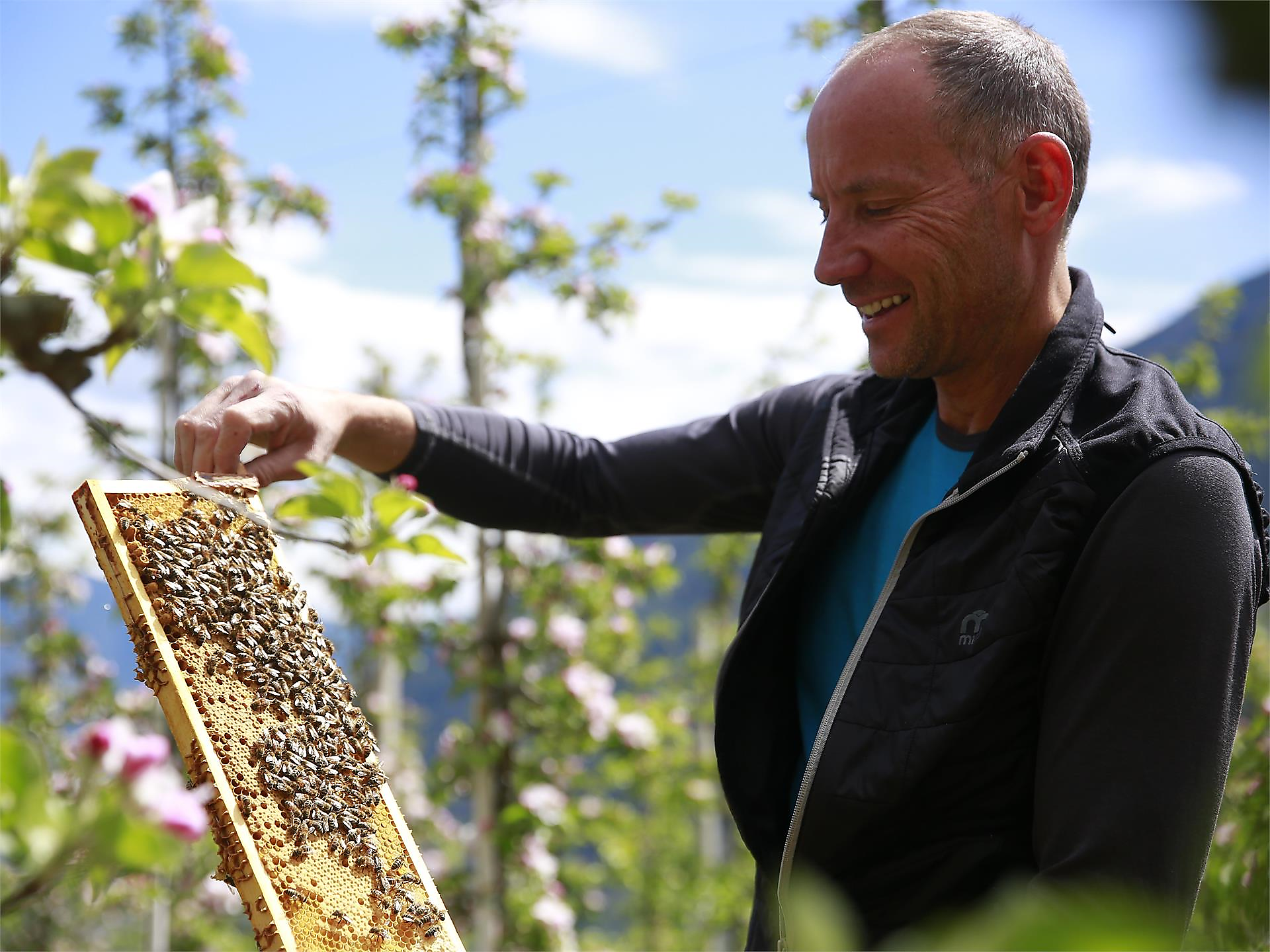 Honig erleben: Ein Blick hinter die Kulissen der Imkerei - Meran und Umgebung - #3 - suedtirol.info