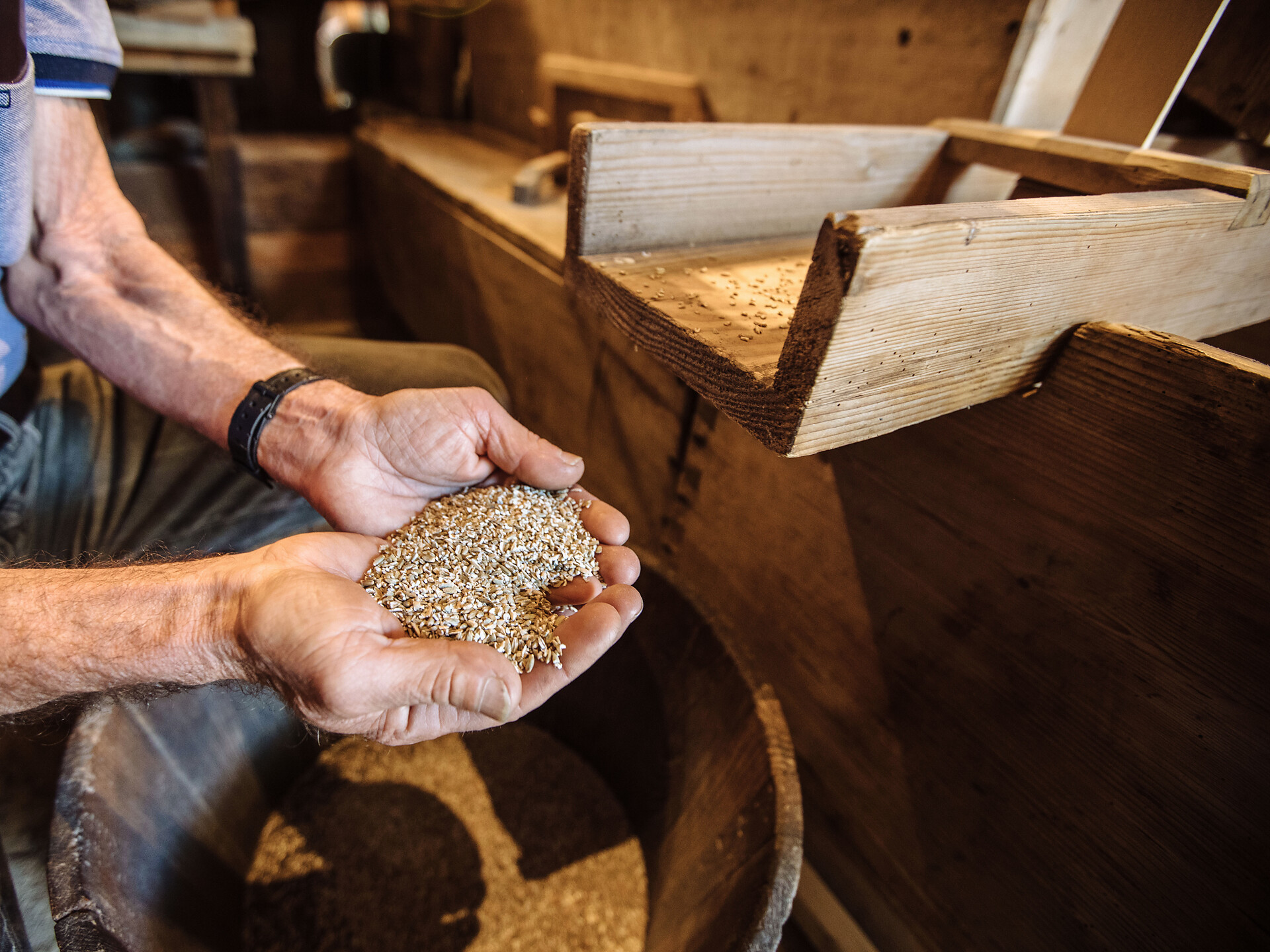 Farms up close: Exciting tours - Meran/Merano and environs - #1 - suedtirol.info