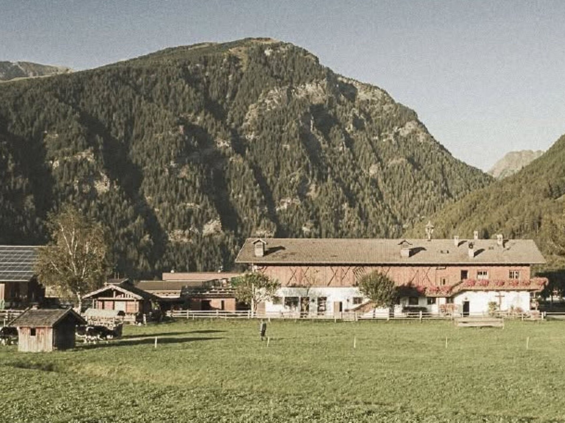 Hofbesichtigungen für Groß und Klein - Sterzing und Umgebung - #1 - suedtirol.info