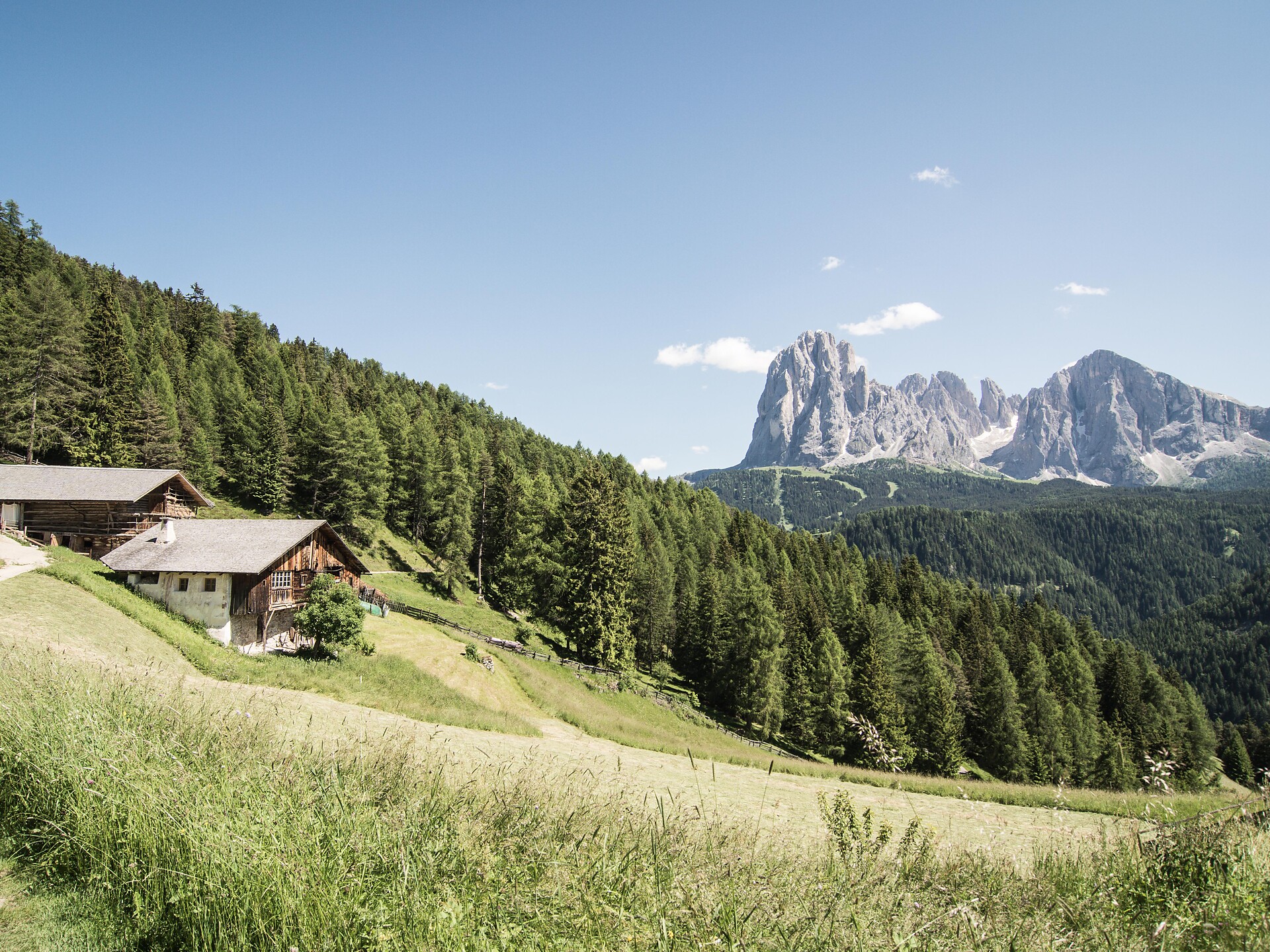 Höfewanderung: die Juwelen der Kulturlandschaft entdecken St.Ulrich 3 suedtirol.info