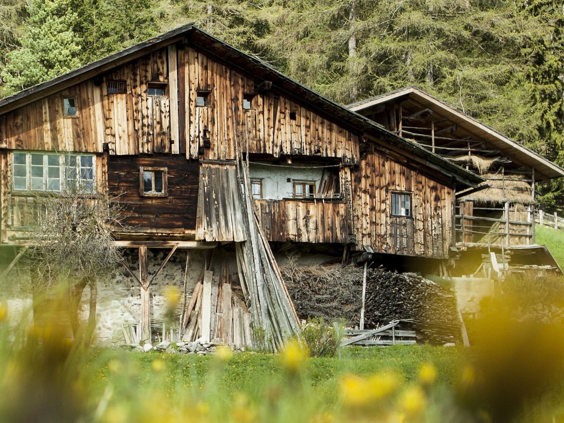 Höfewanderung: die Juwelen der Kulturlandschaft entdecken St.Ulrich 1 suedtirol.info