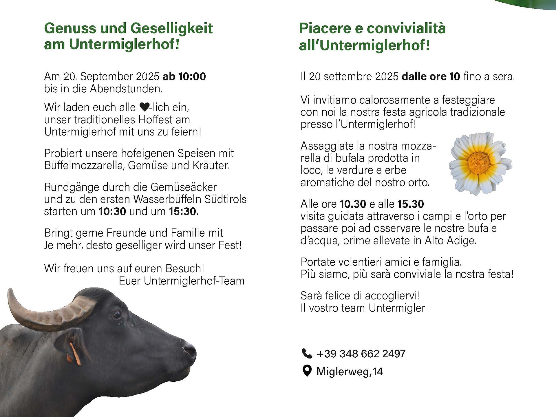 Open Day at the Untermiglerhof - Bolzano/Bozen and environs - #2 - suedtirol.info