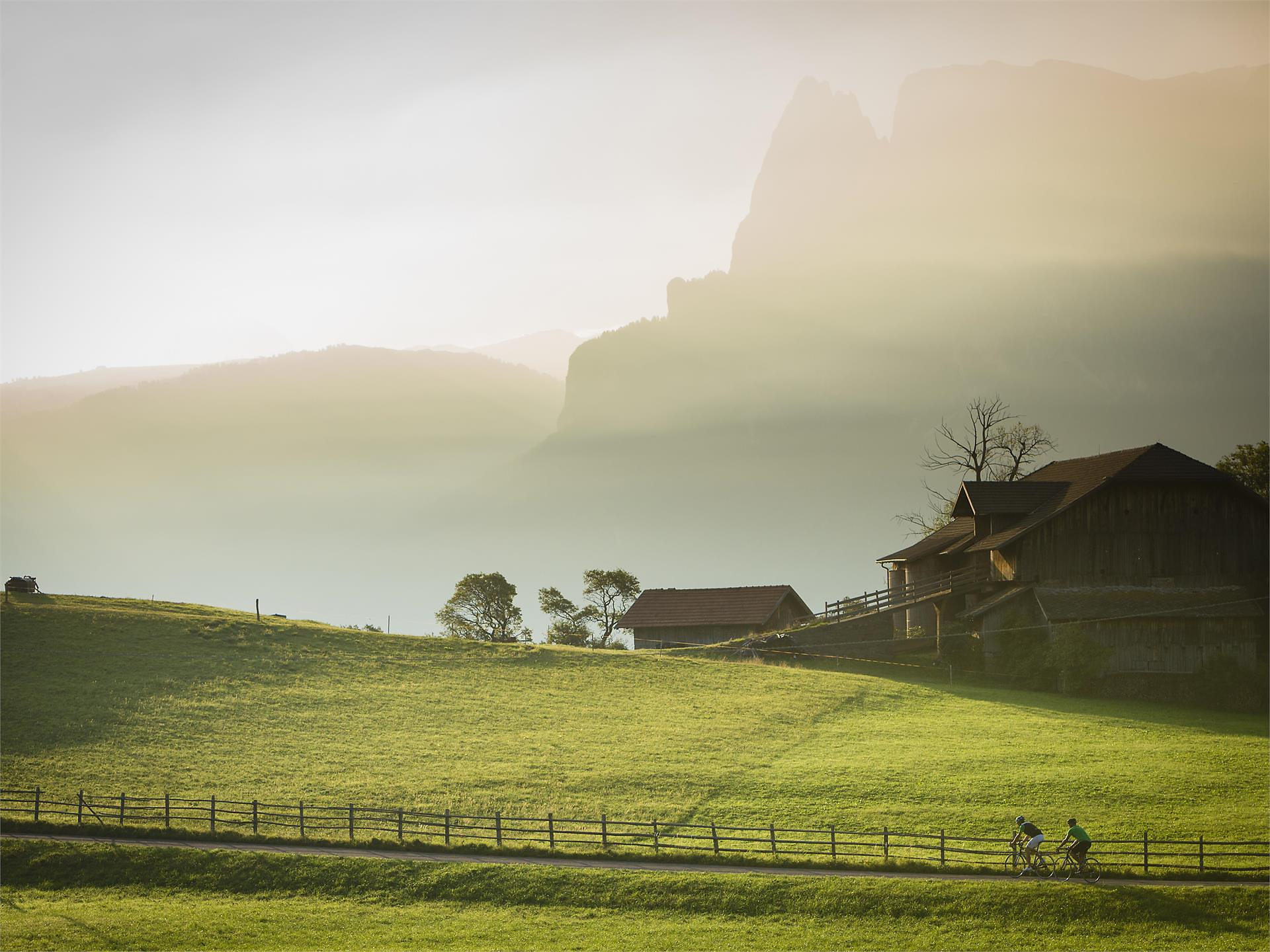 Hiking tour at the foot of the Schlern Schenna/Scena 3 suedtirol.info