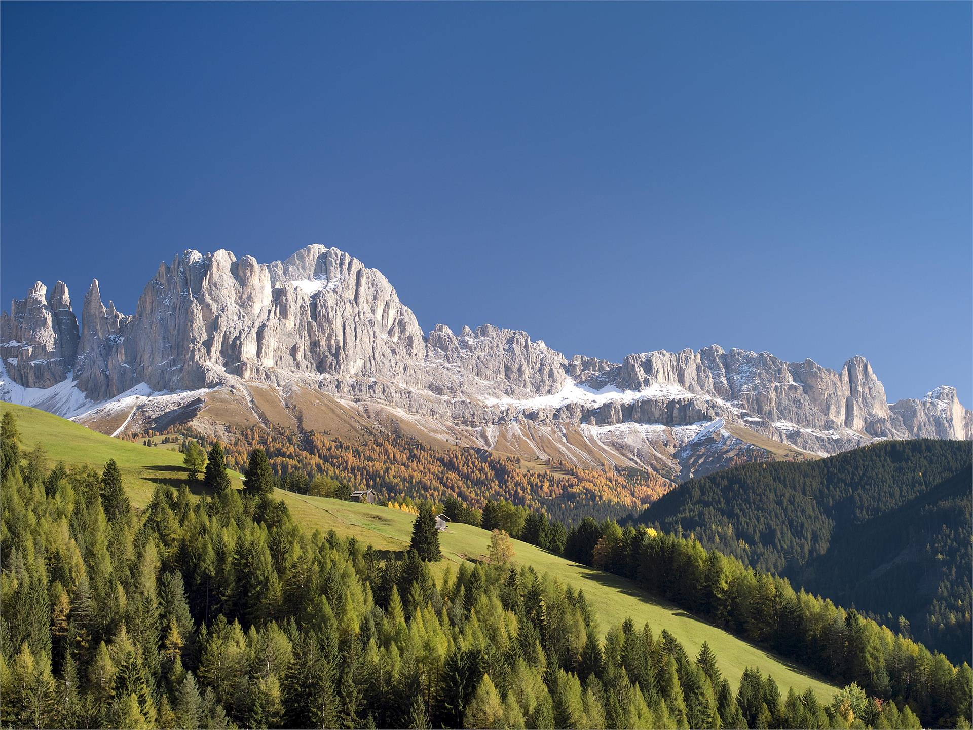 Hiking tour at the foot of the Schlern Schenna/Scena 2 suedtirol.info