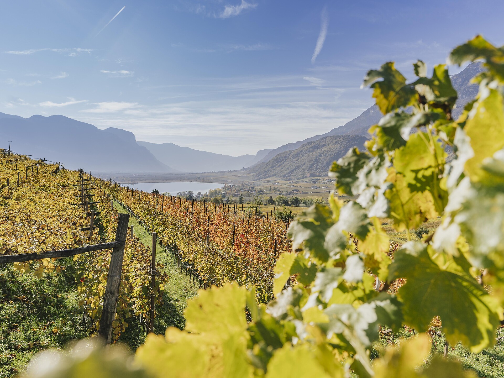 Herbstwanderung von Tramin nach Margreid Schenna 1 suedtirol.info