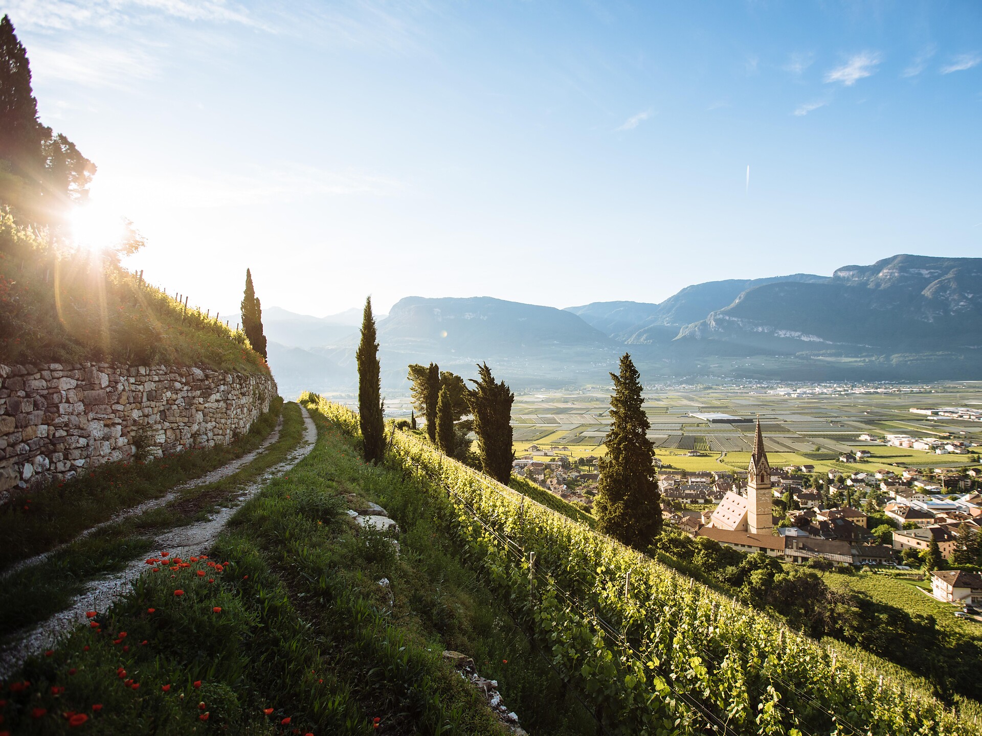 Herbstwanderung von Tramin nach Margreid Schenna 3 suedtirol.info