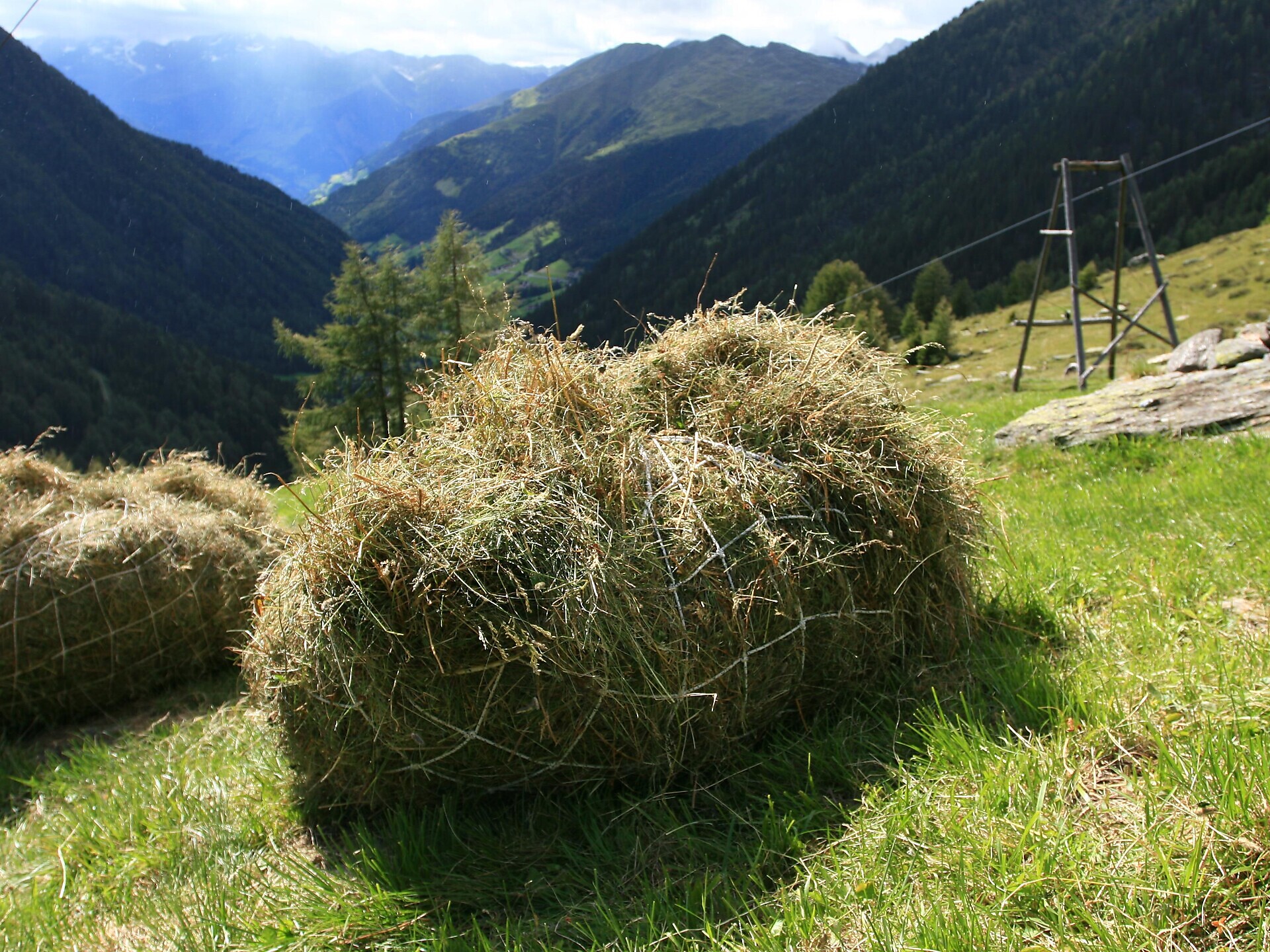 Farms up close: Exciting tours St.Leonhard in Passeier/San Leonardo in Passiria 1 suedtirol.info