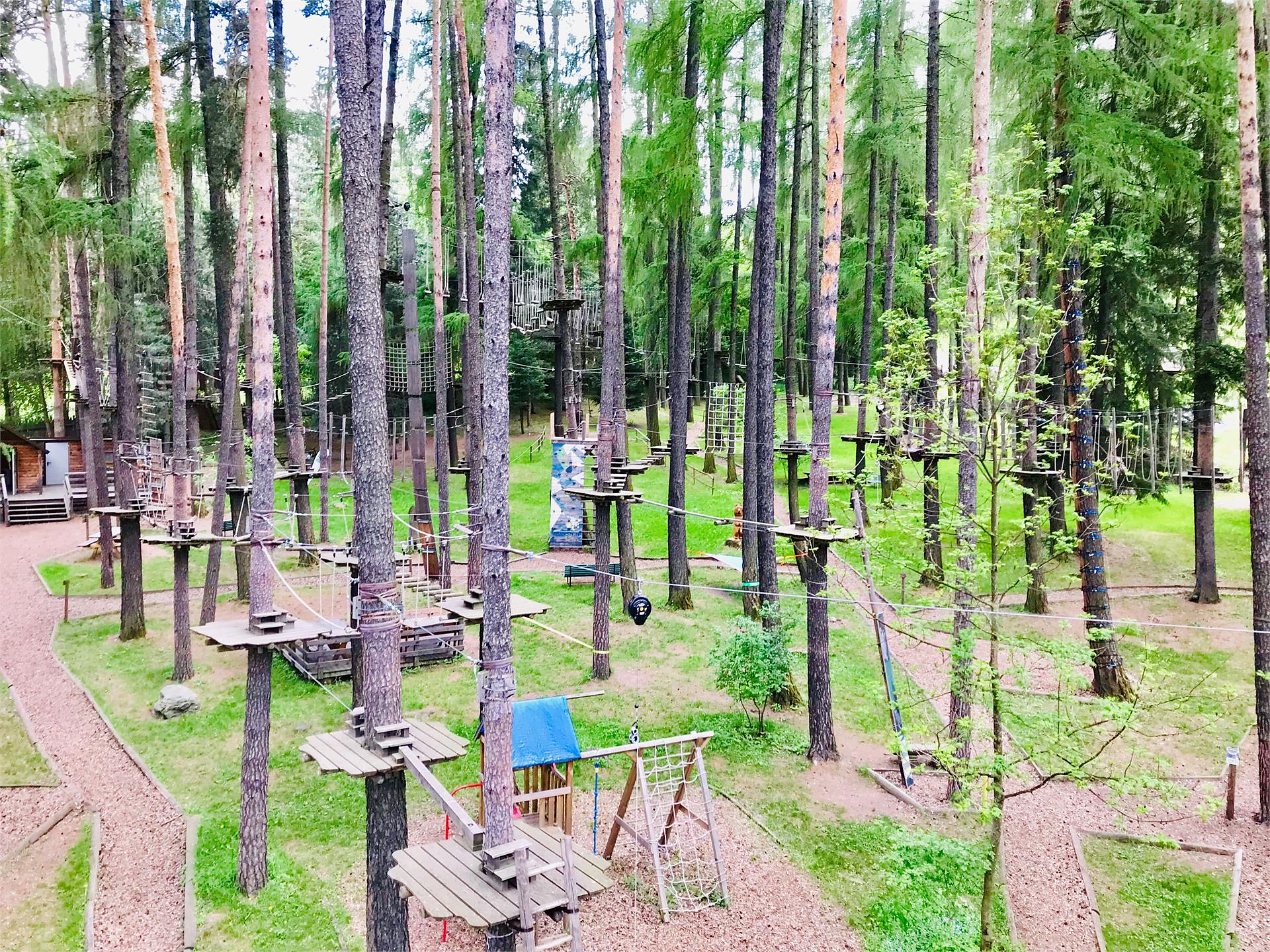 Parco avventura Skytrek Vipiteno Vipiteno 2 suedtirol.info