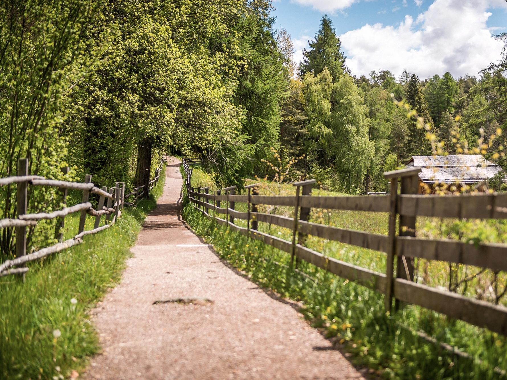 Internationale Kolping-Friedenswanderung 2025 Ritten 1 suedtirol.info