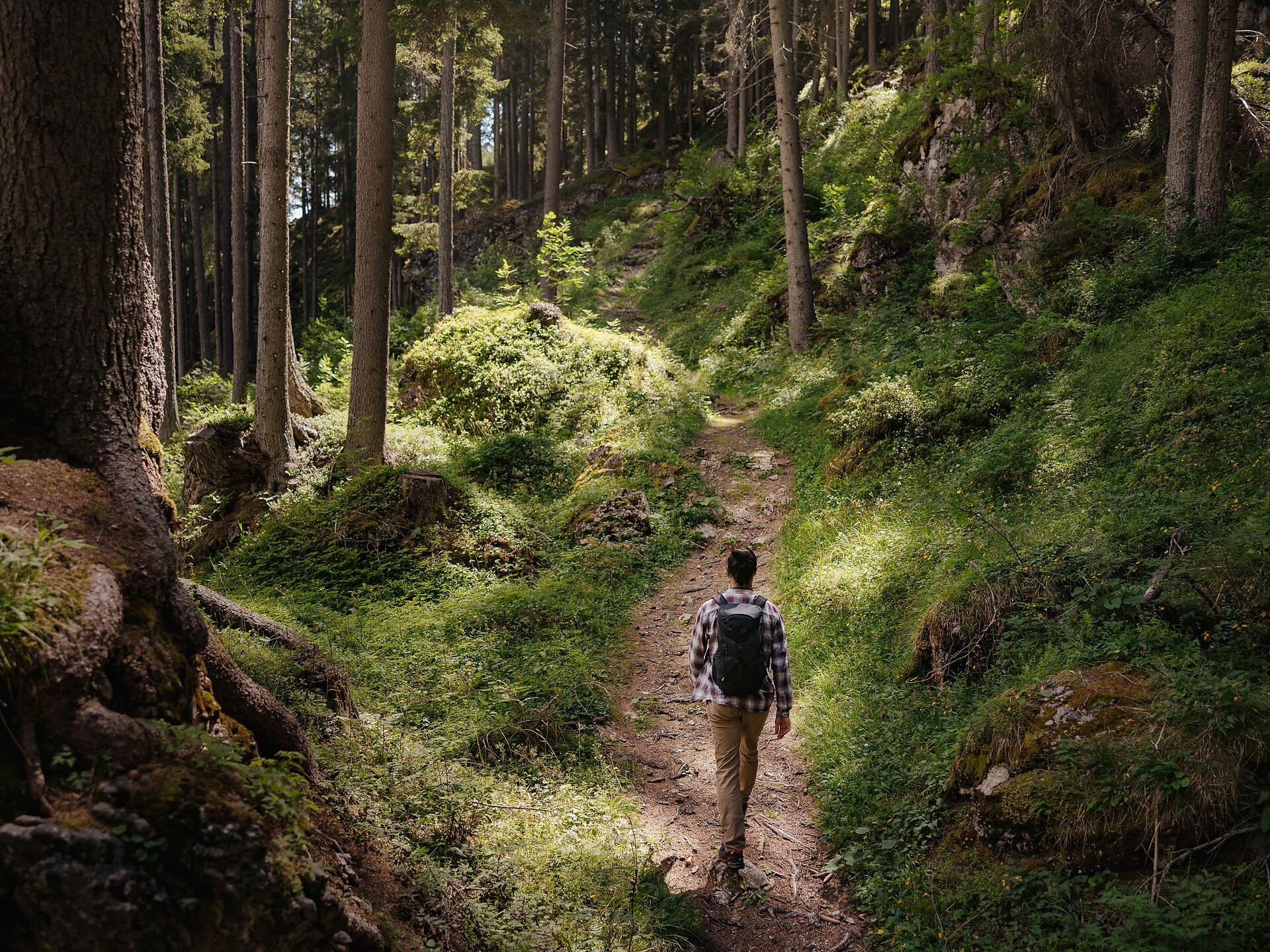 Im Reich der Pilze: Vortrag über Mykologie – ATIRA - Dolomitenregion Alta Badia - #1 - suedtirol.info