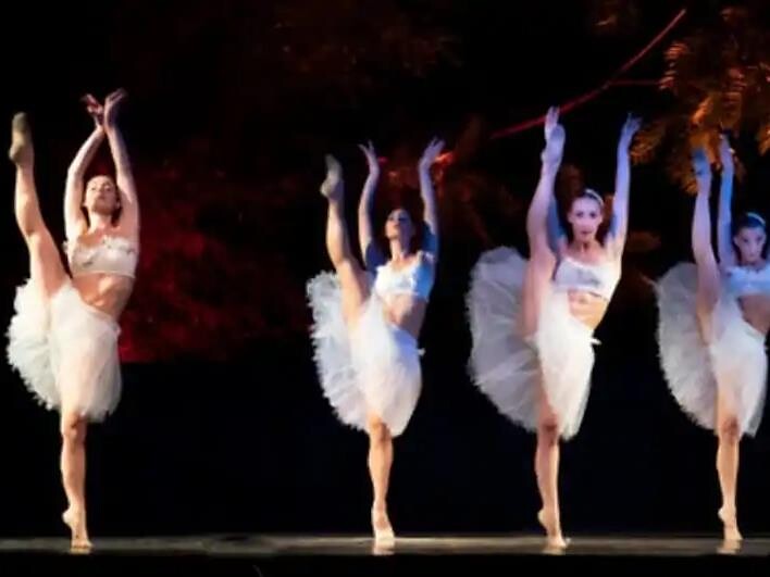 IL LAGO DEI CIGNI - SWAN LAKE - Bolzano/Bozen and environs - #3 - suedtirol.info