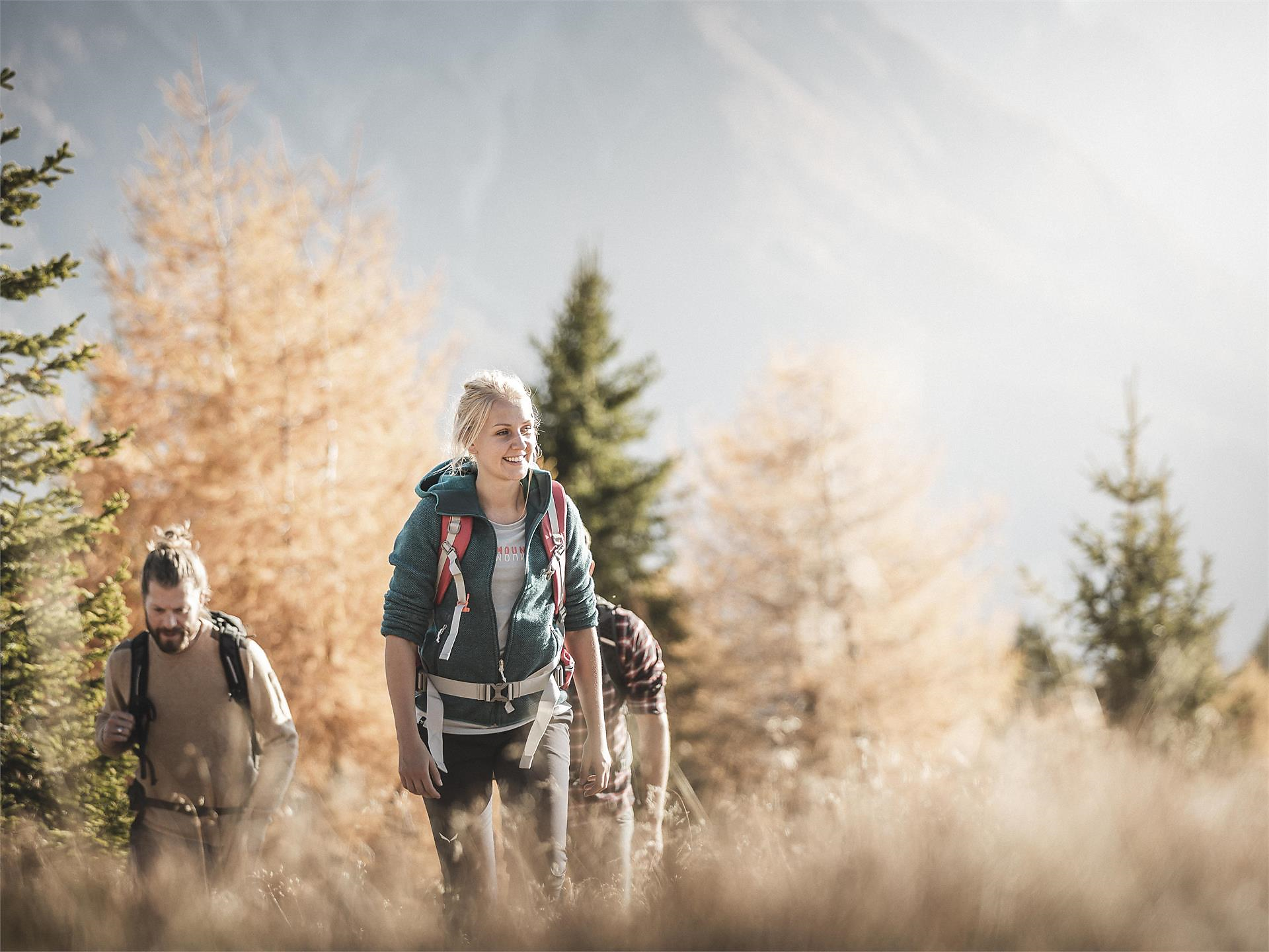 Innichen Active: Wanderung Silvestertal – Steinbergalm mit Drei Zinnen Blick Innichen 3 suedtirol.info