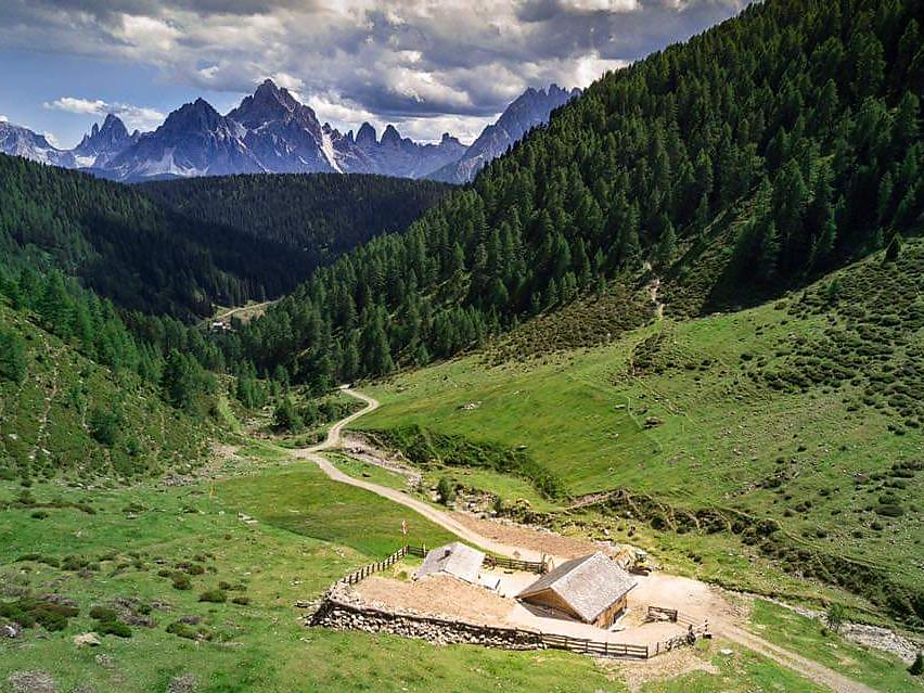 Innichen Active: Wanderung Silvestertal – Steinbergalm mit Drei Zinnen Blick Innichen 1 suedtirol.info