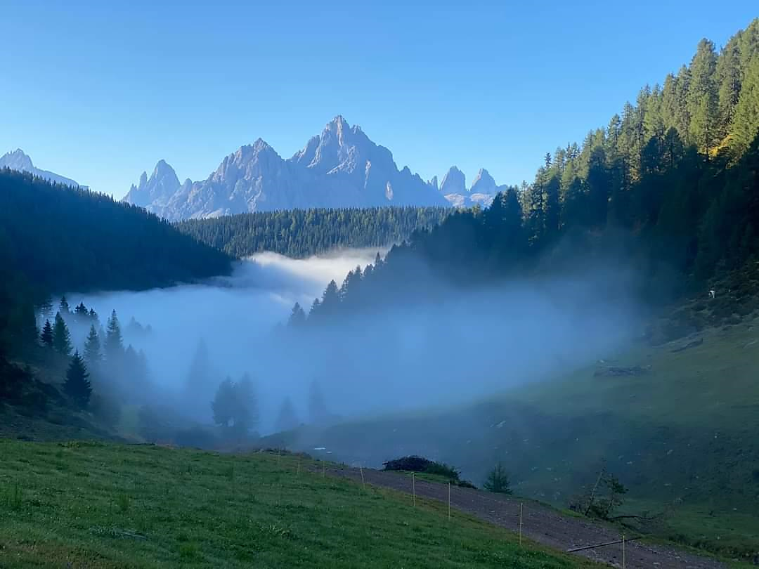 Innichen Active: Wanderung Silvestertal – Steinbergalm mit Drei Zinnen Blick Innichen 2 suedtirol.info