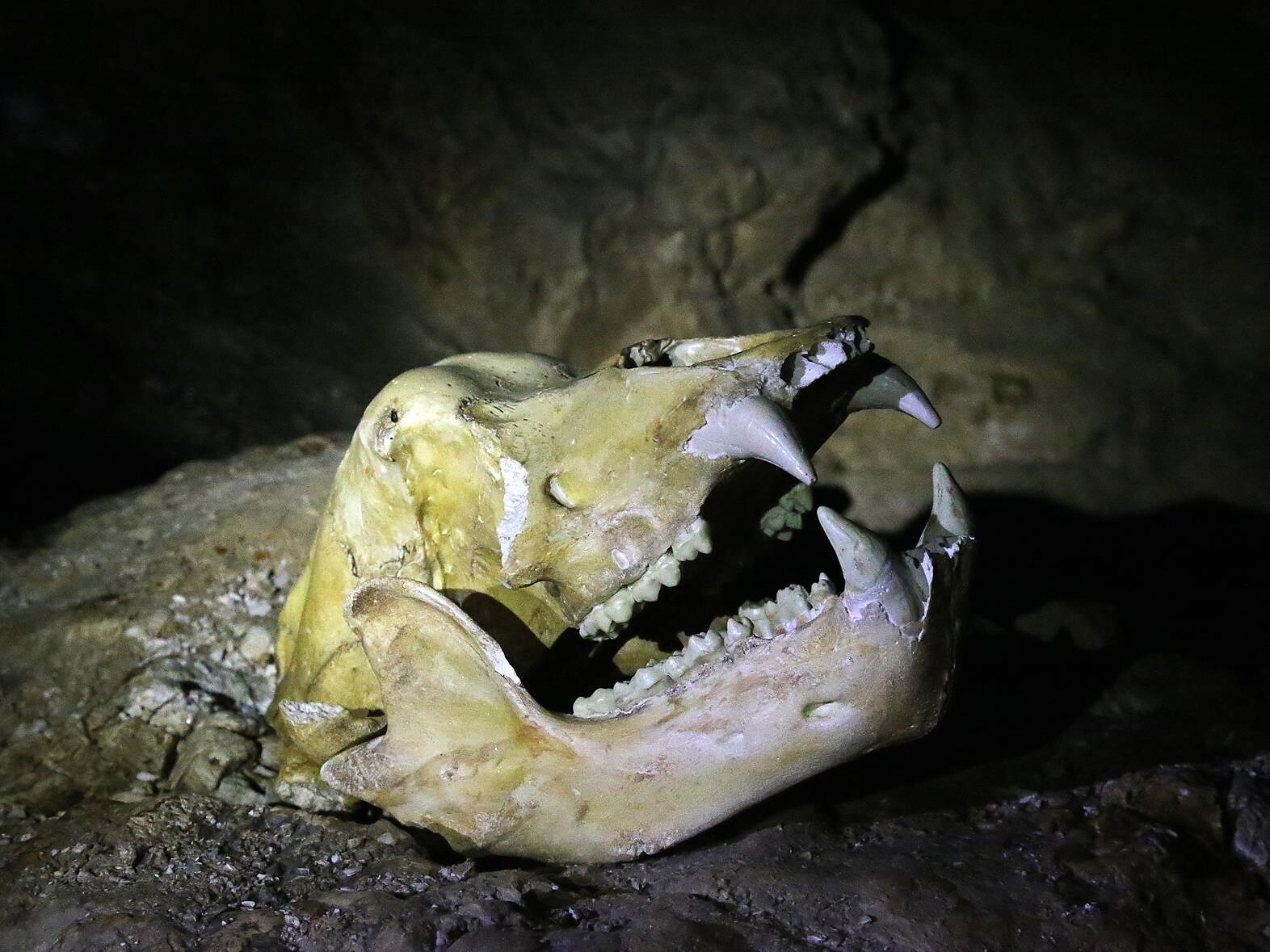In the bear cave - Conturines, an incredible cave Badia 2 suedtirol.info