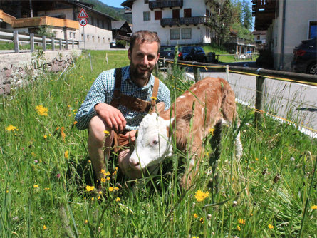 Innichen Active: visit of the Steinmetz farm Innichen/San Candido 2 suedtirol.info