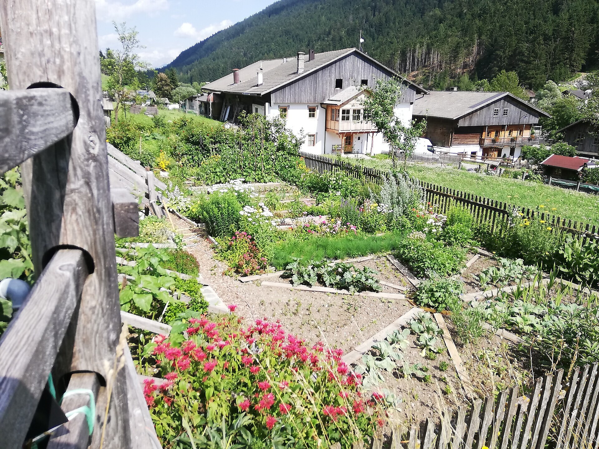 San Candido Active: visita al Maso Huberhof - Regione dolomitica 3 Cime - #2 - suedtirol.info