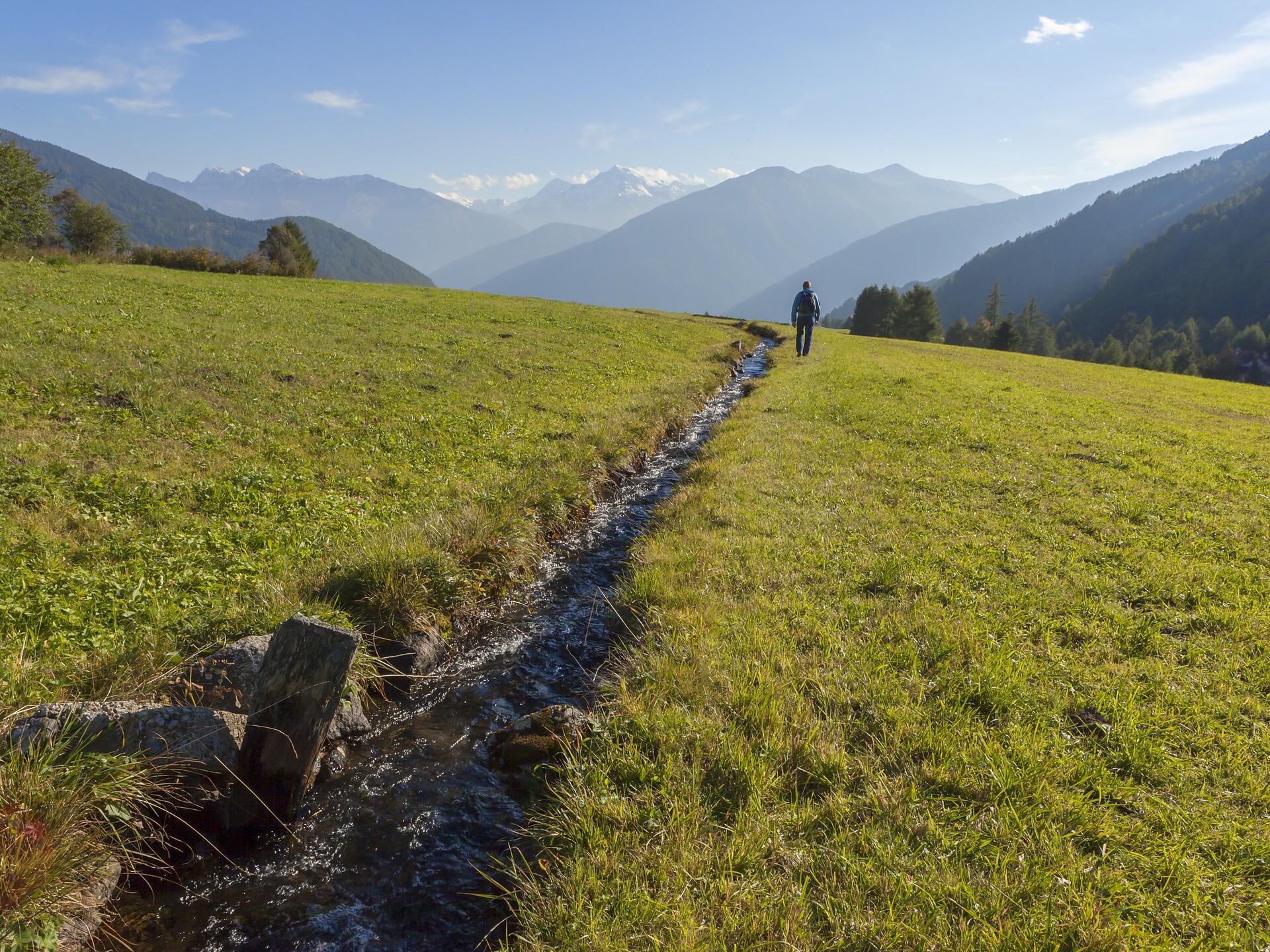 Muta di Malles: l’irrigazione tradizionale dei prati e gli uccelli nidificanti a Malles 1 suedtirol.info