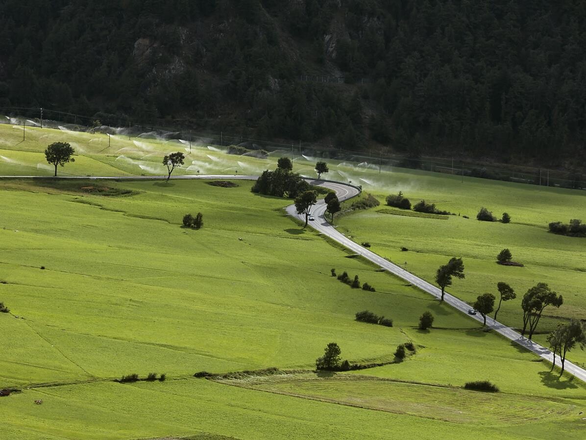 Muta di Malles: l’irrigazione tradizionale dei prati e gli uccelli nidificanti a Malles 3 suedtirol.info