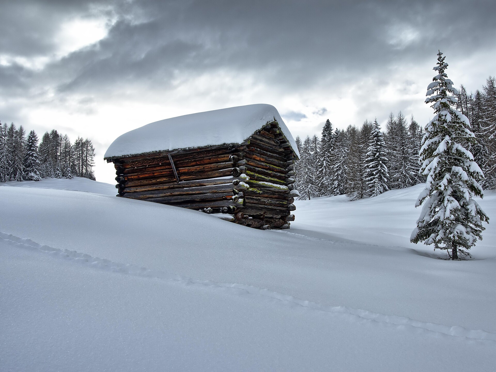 Escursione alla scoperta delle tracce degli animali selvatici - Regione dolomitica Alta Badia - #1 - suedtirol.info