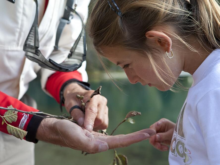 Infostand: Naturpark "Rieserferner Ahrn" - Dolomitenregion Kronplatz - #2 - suedtirol.info
